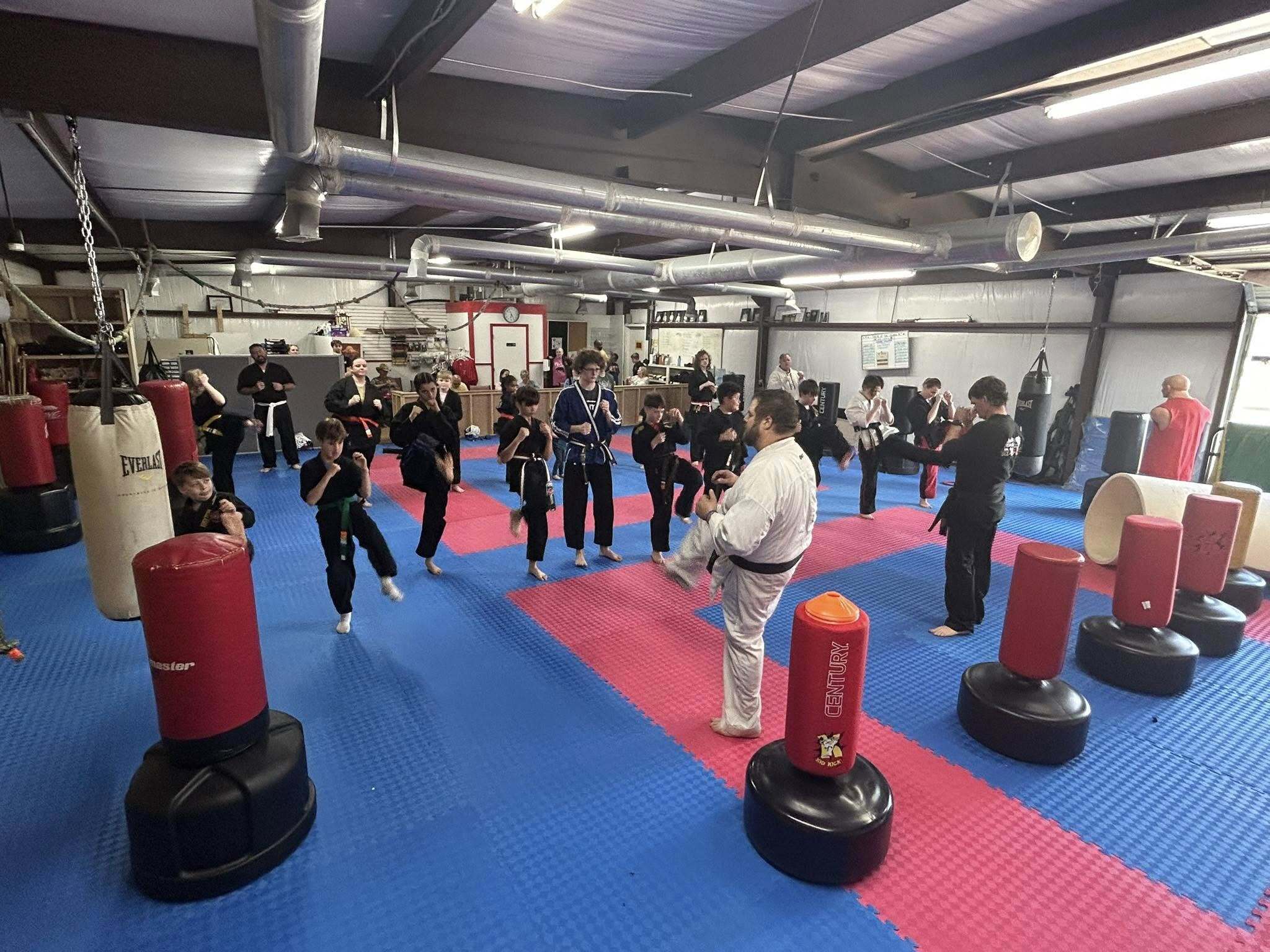 Carolina Family Karate photo 1