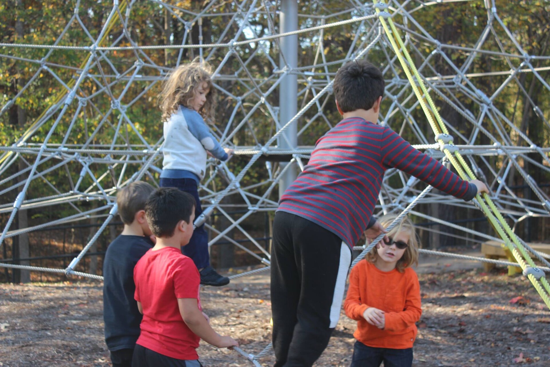 Carolina Friends School