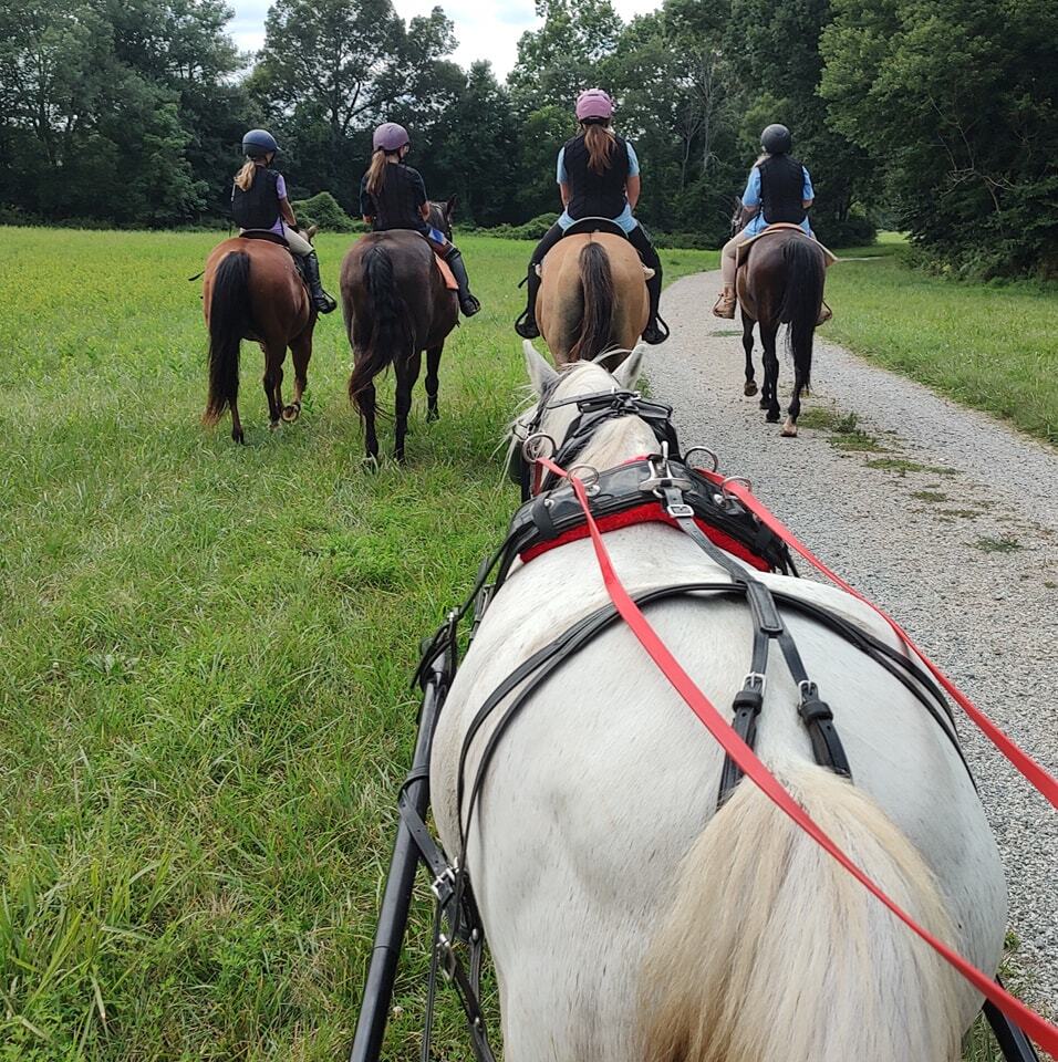 Full Moon Farms Summer Camp photo 1