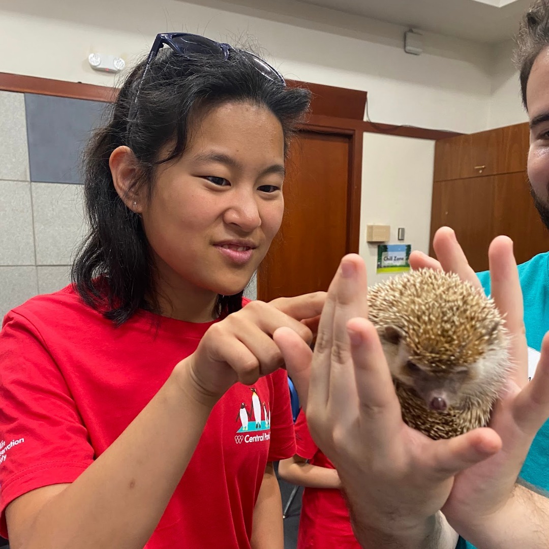 Fastbreak Kids Sports Camp photo 1