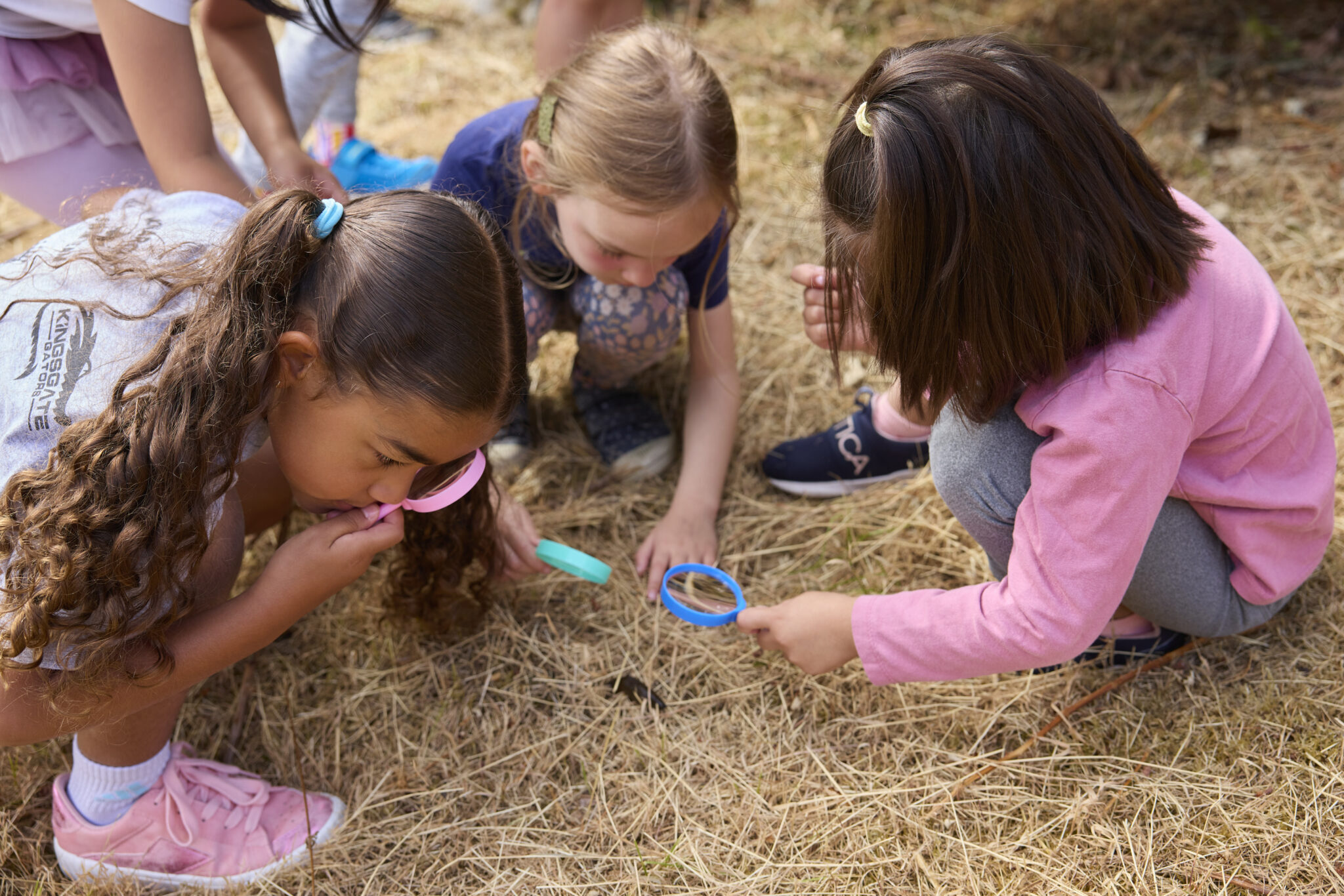 Champ Camp Great Outdoors Bothell