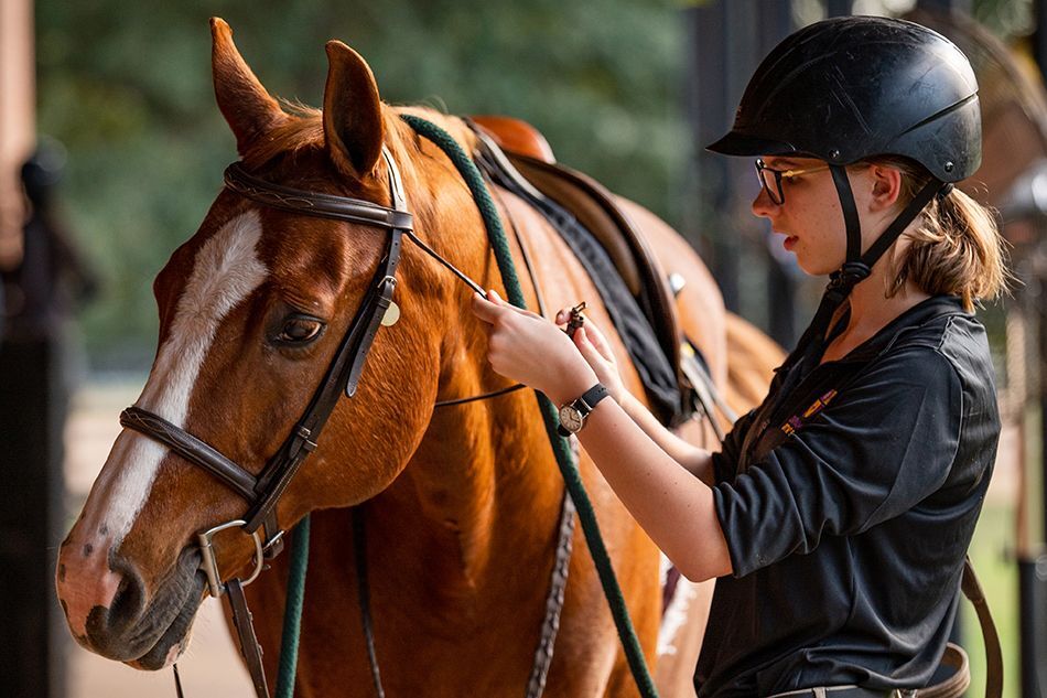 Chatham Hall Riding Camp photo 1