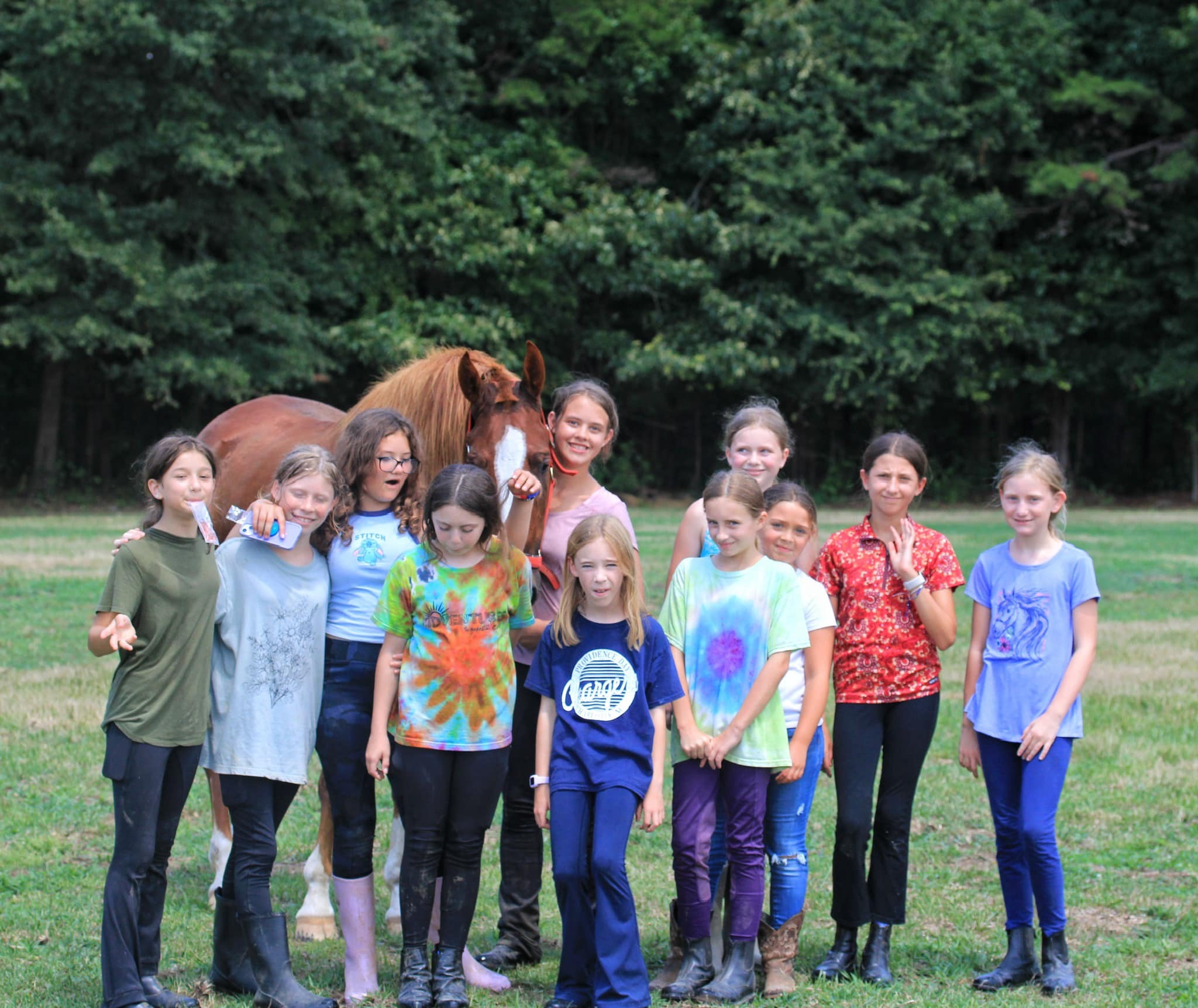 Chestnut Lane Riding Academy