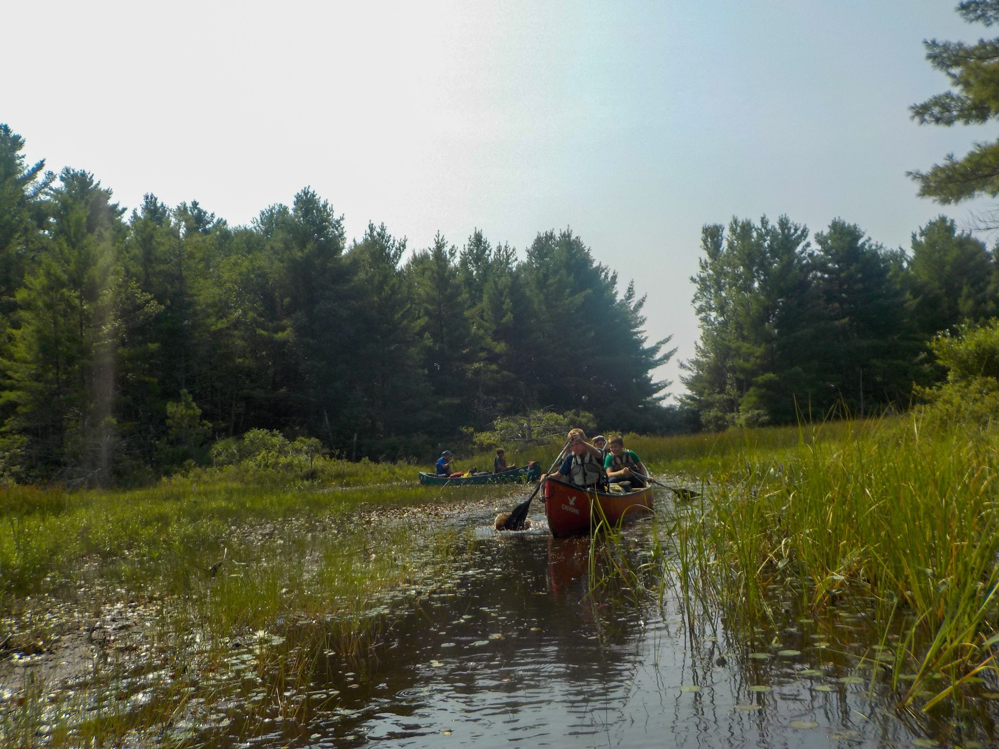 Chewonki Boys Camp photo 1