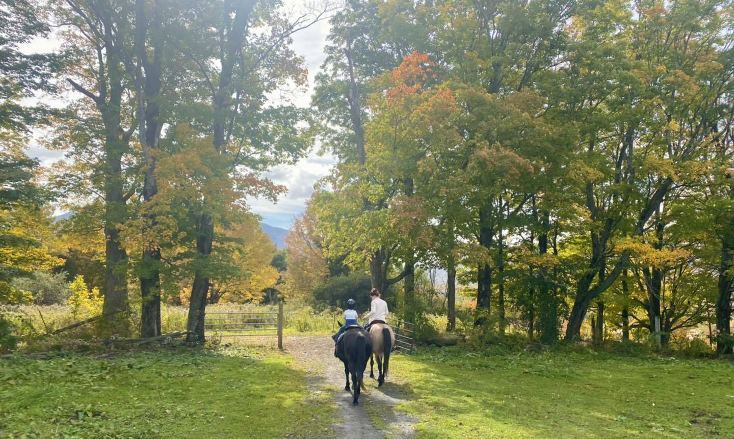 Chipman Stables Summer Horse Camp photo 1