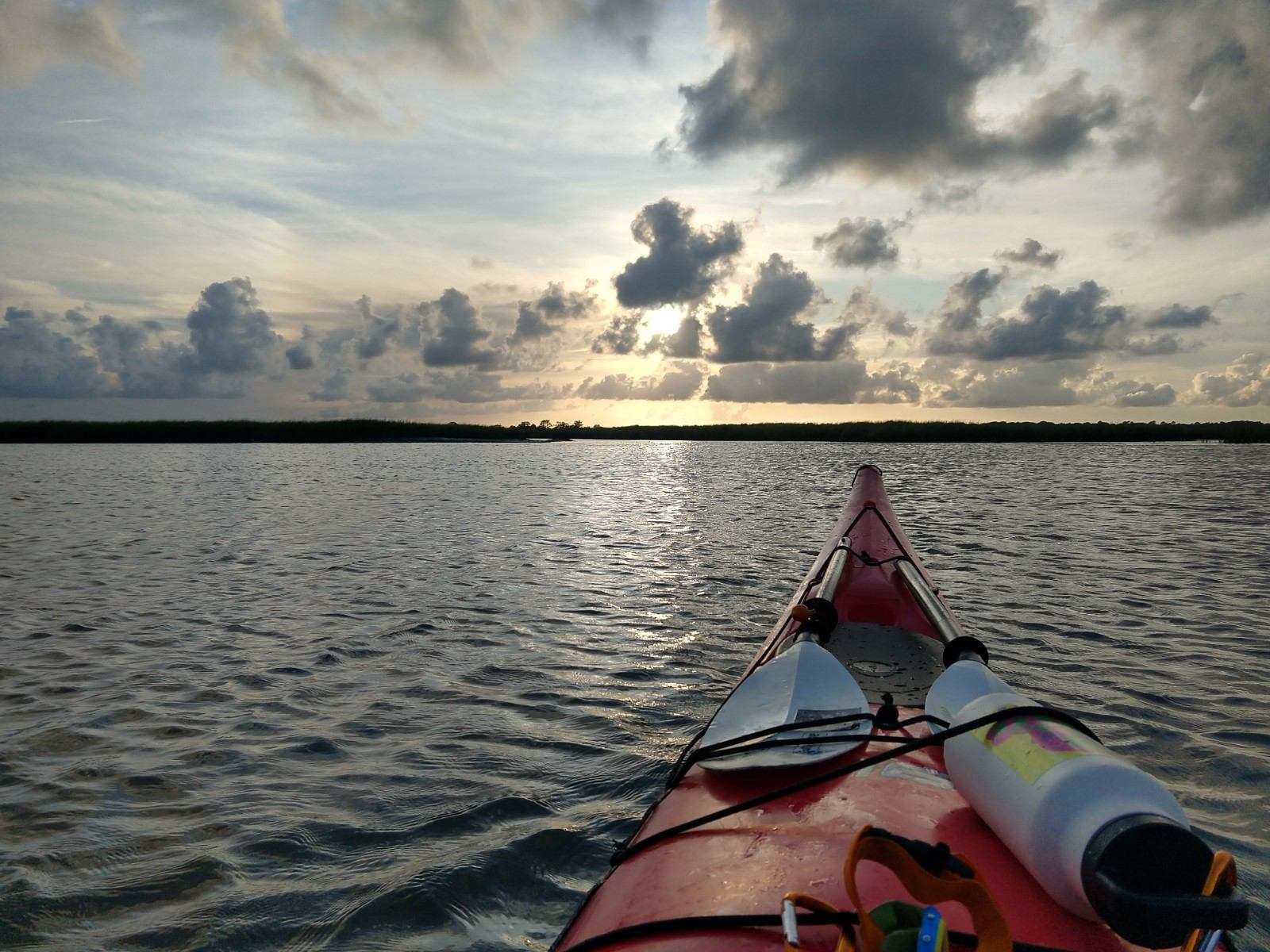 Coastal Expeditions Young Naturalist Kayak Camp photo 1
