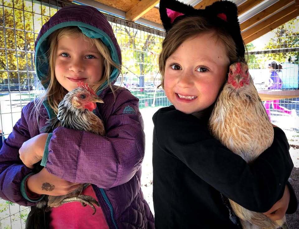 Cottonwood School Summer Camps