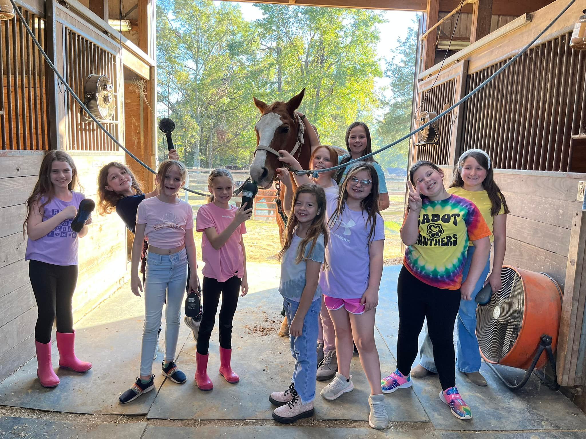 Crazy for Horses Kids Camp