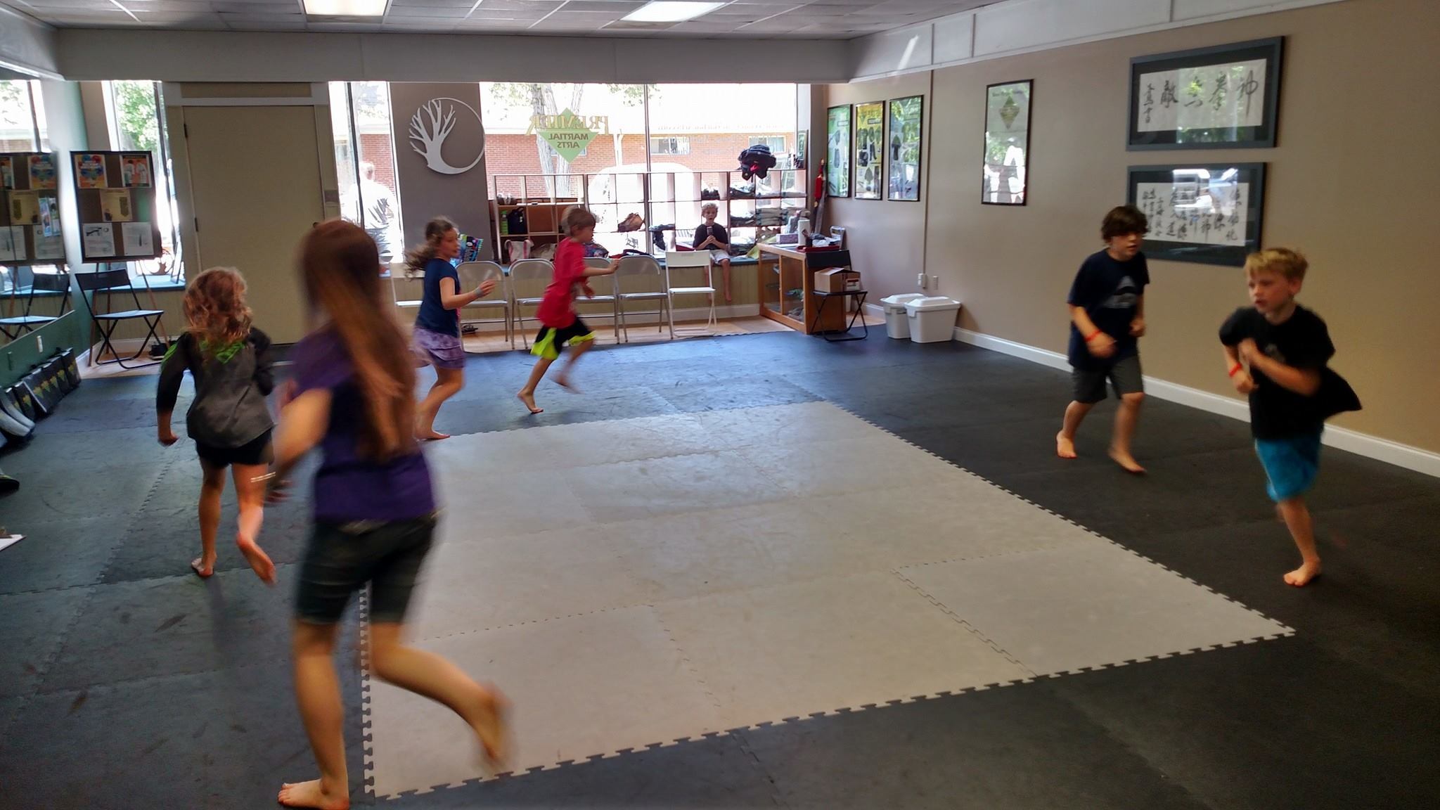 Croleys Premier Martial Arts photo 1