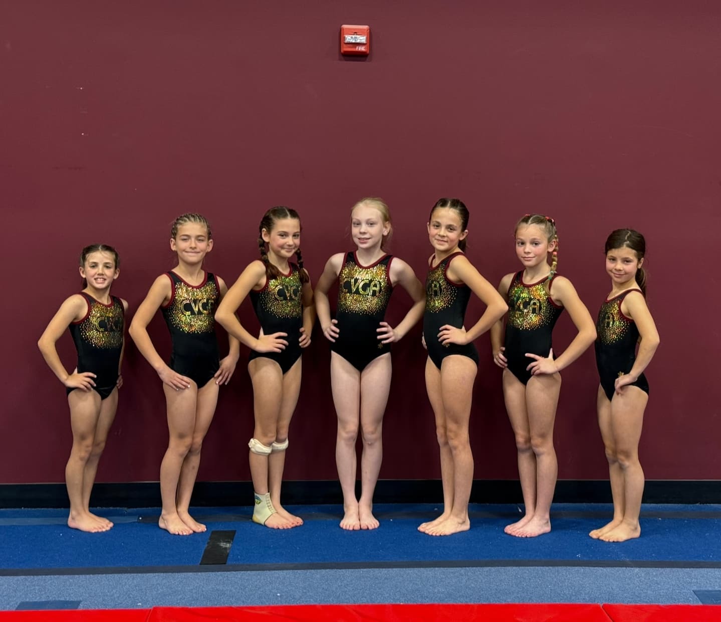 CVGA Summer Gymnastics Camp