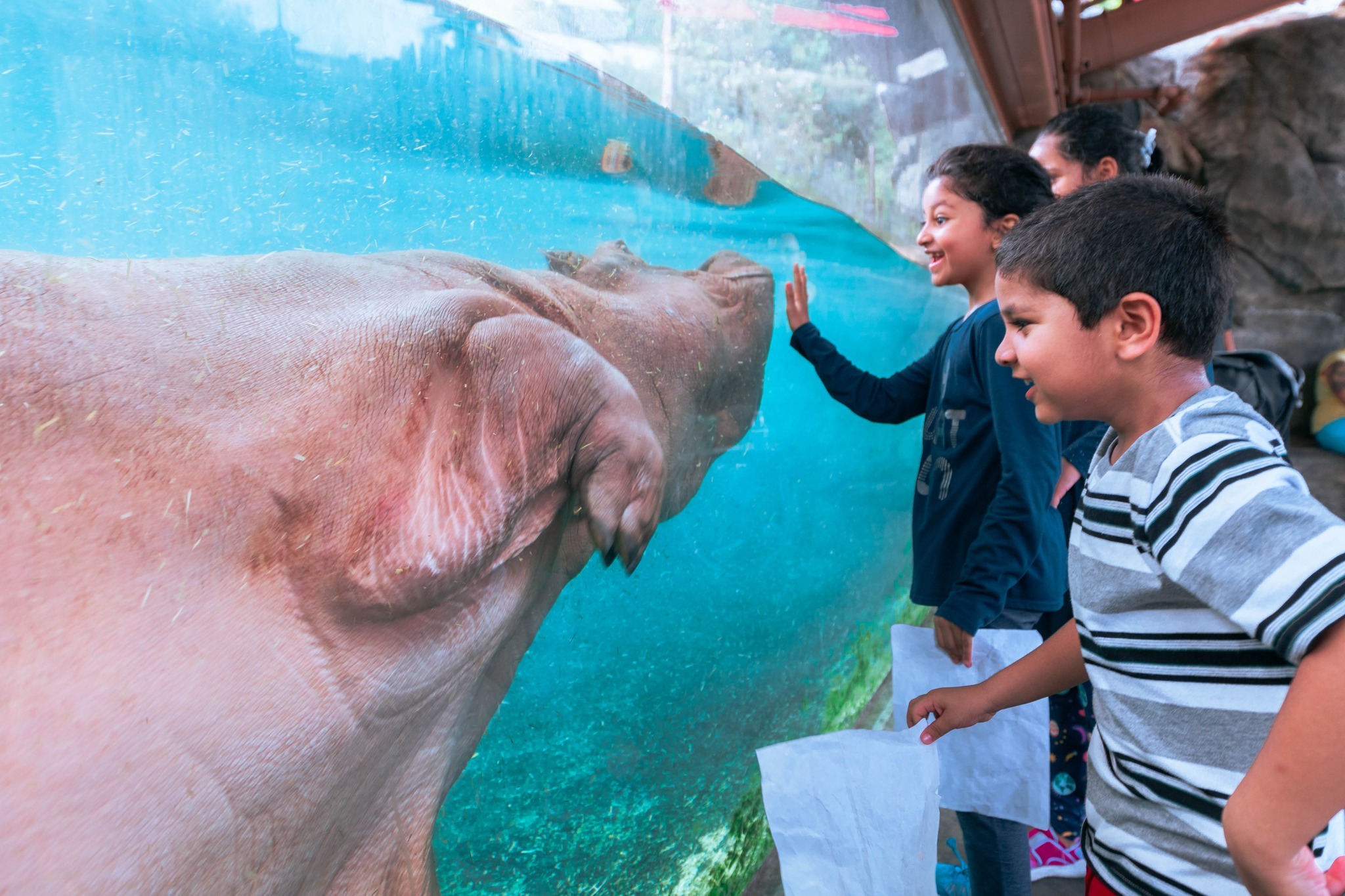 Dallas Zoo Wild Adventures Summer Camps