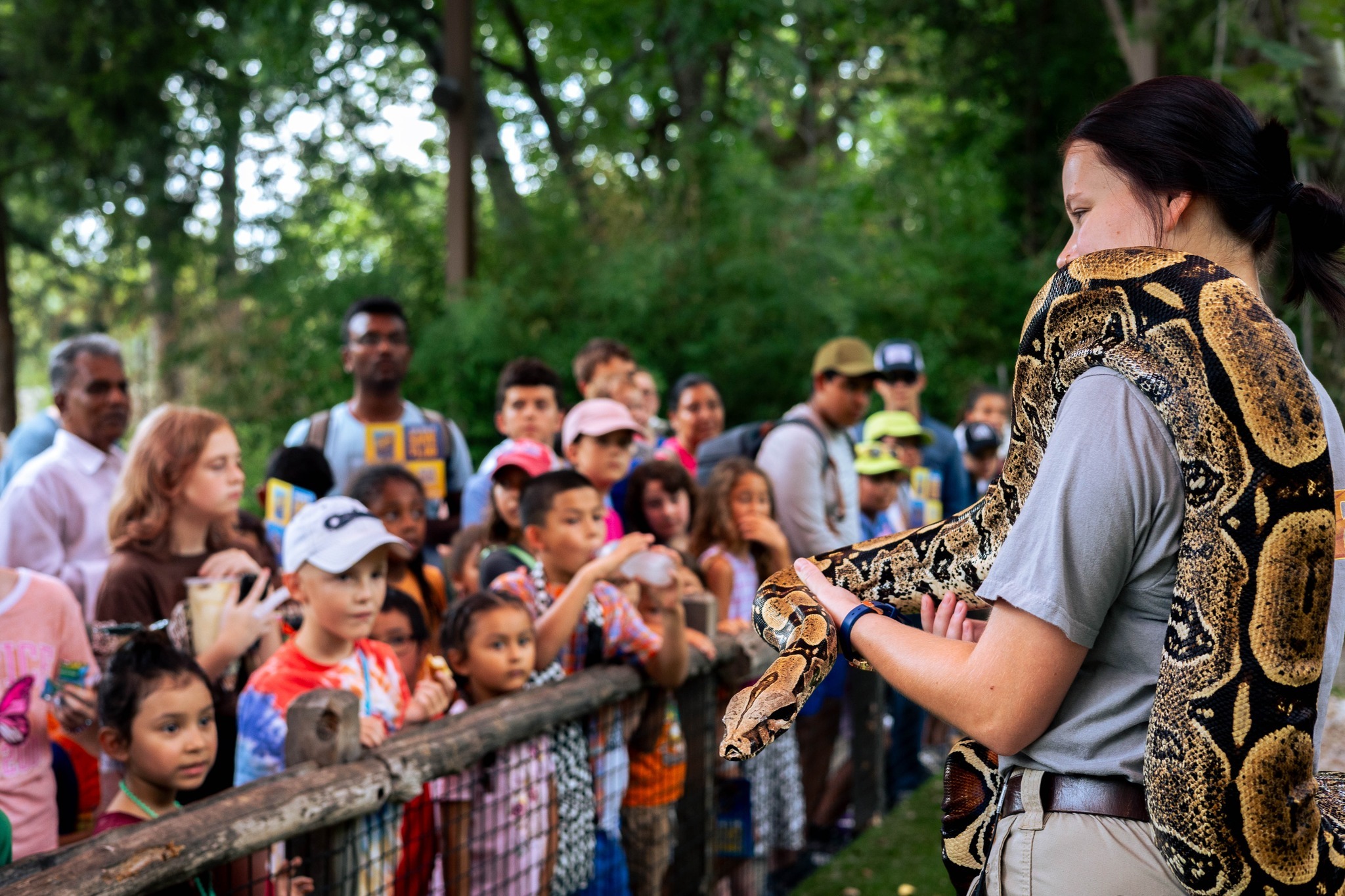 Dallas Zoo Wild Adventures Summer Camps photo 1