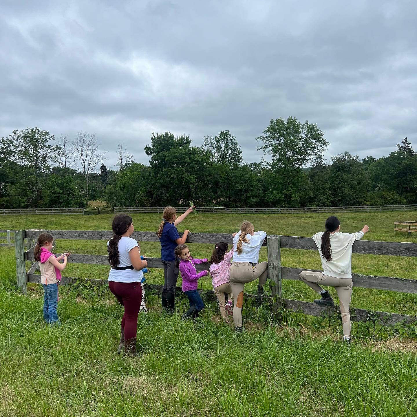 Black Bear Lake Day Camp photo 1
