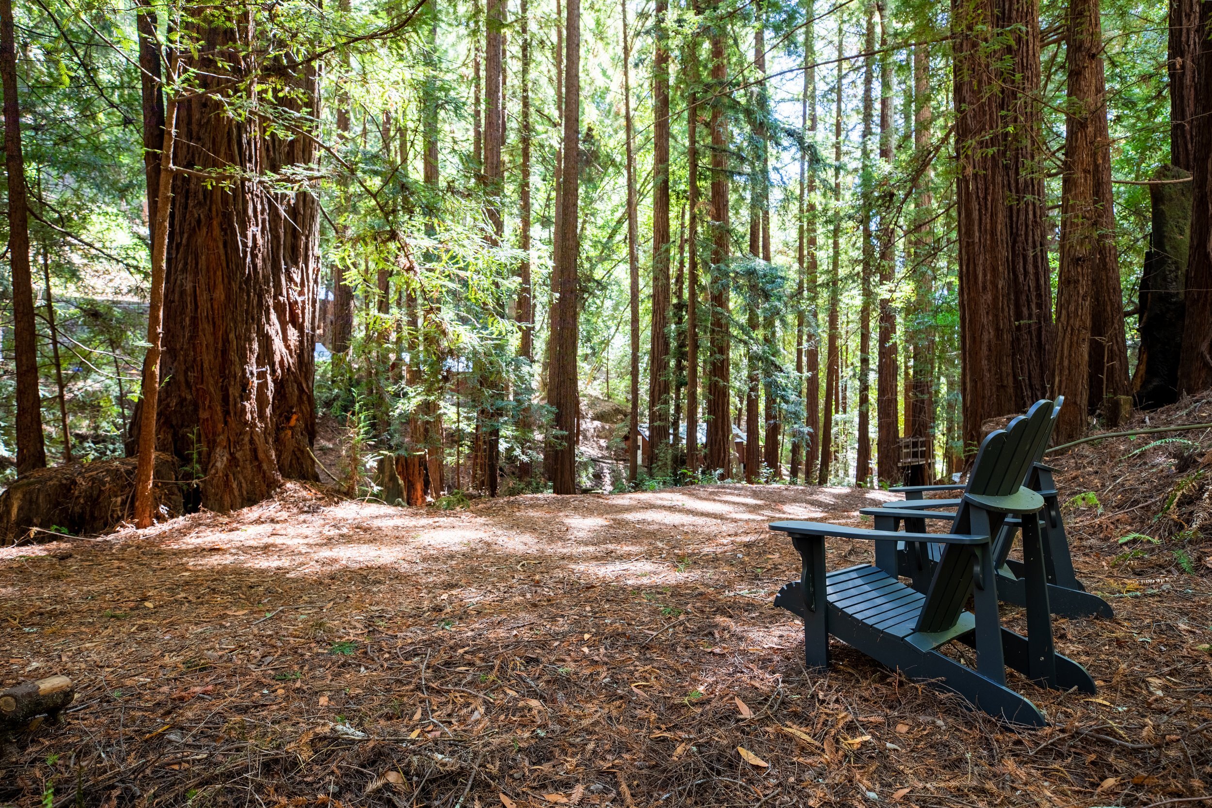 Kennolyn Camps photo 1