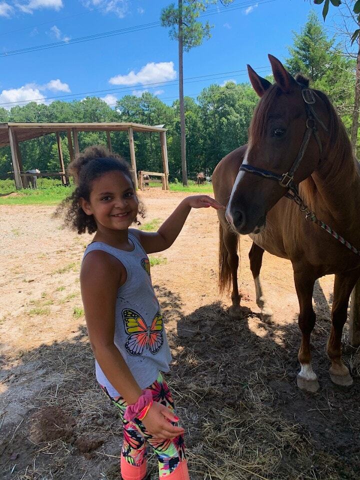 Hope Reins of Raleigh photo 1