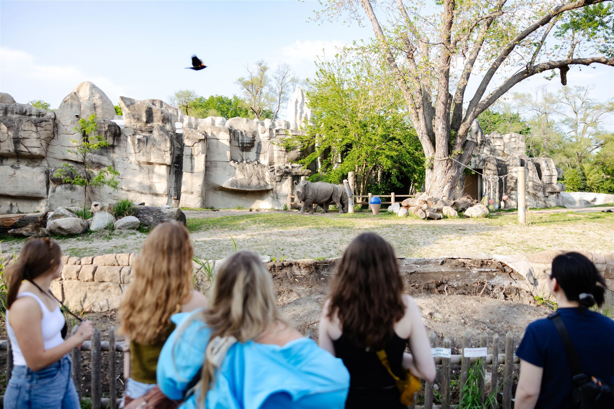 Detroit Zoo Safari Camp