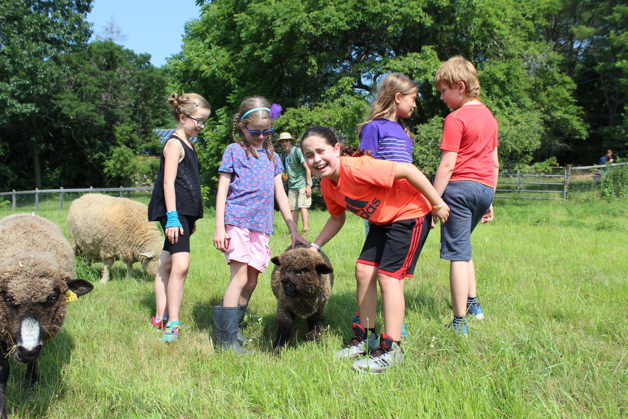 Drumlin Farm Day Camp
