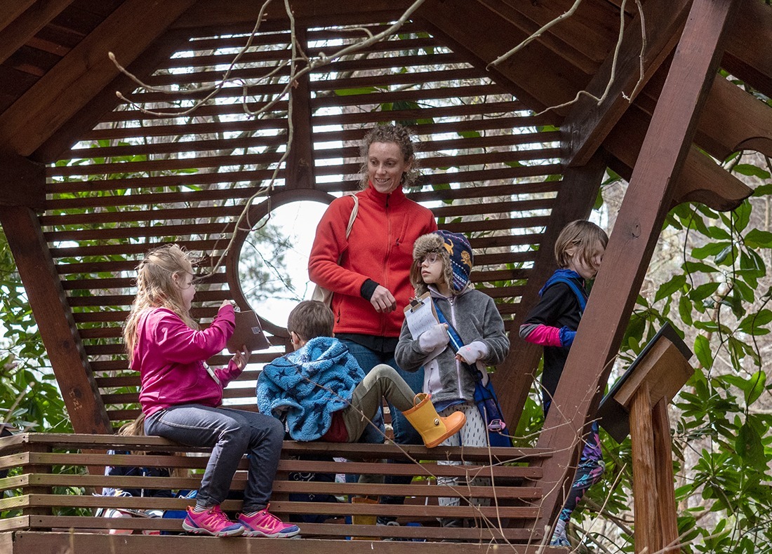 Terrific Scientific Summer Day Camps photo 1