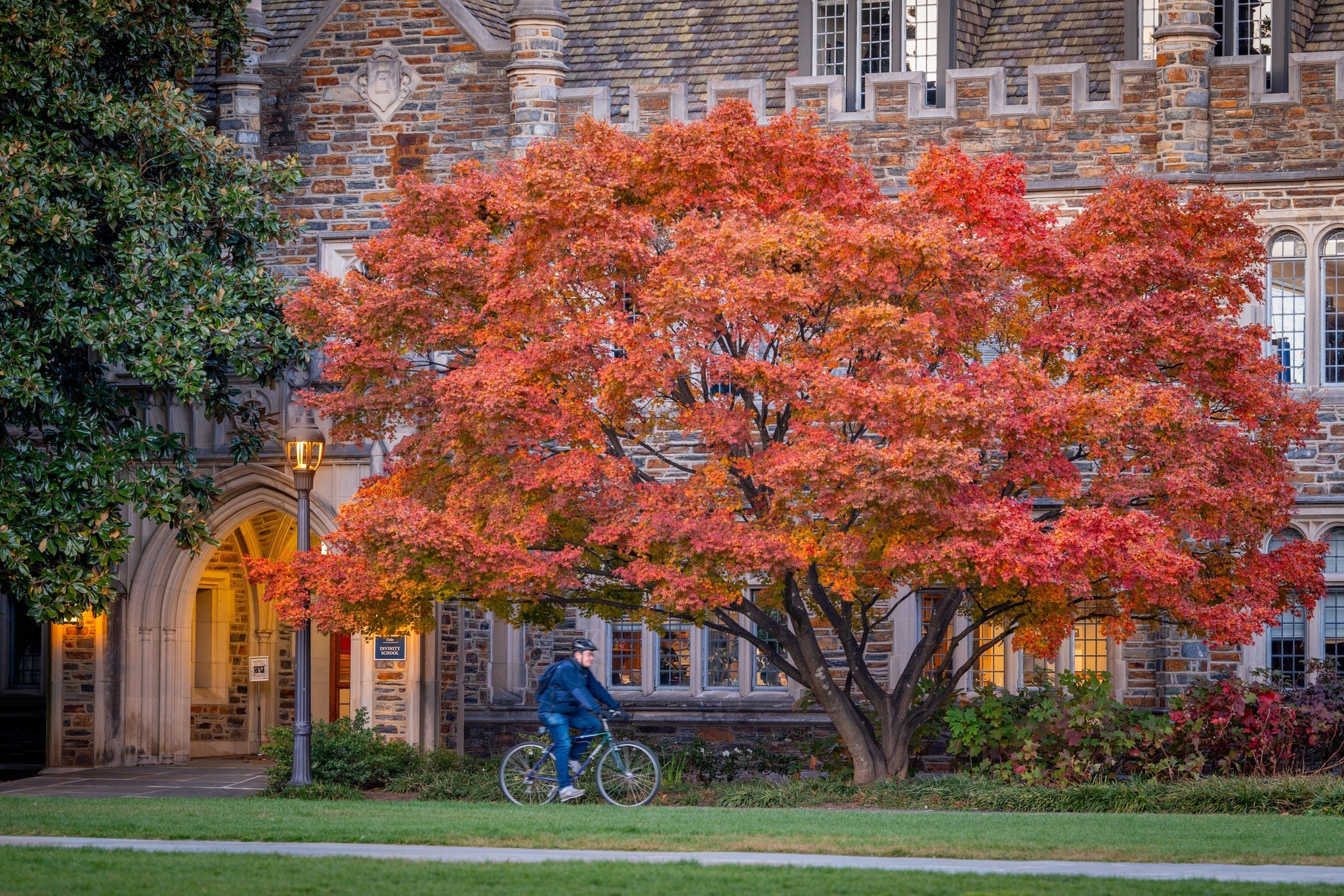 Duke University - Young Writers Camp photo 1
