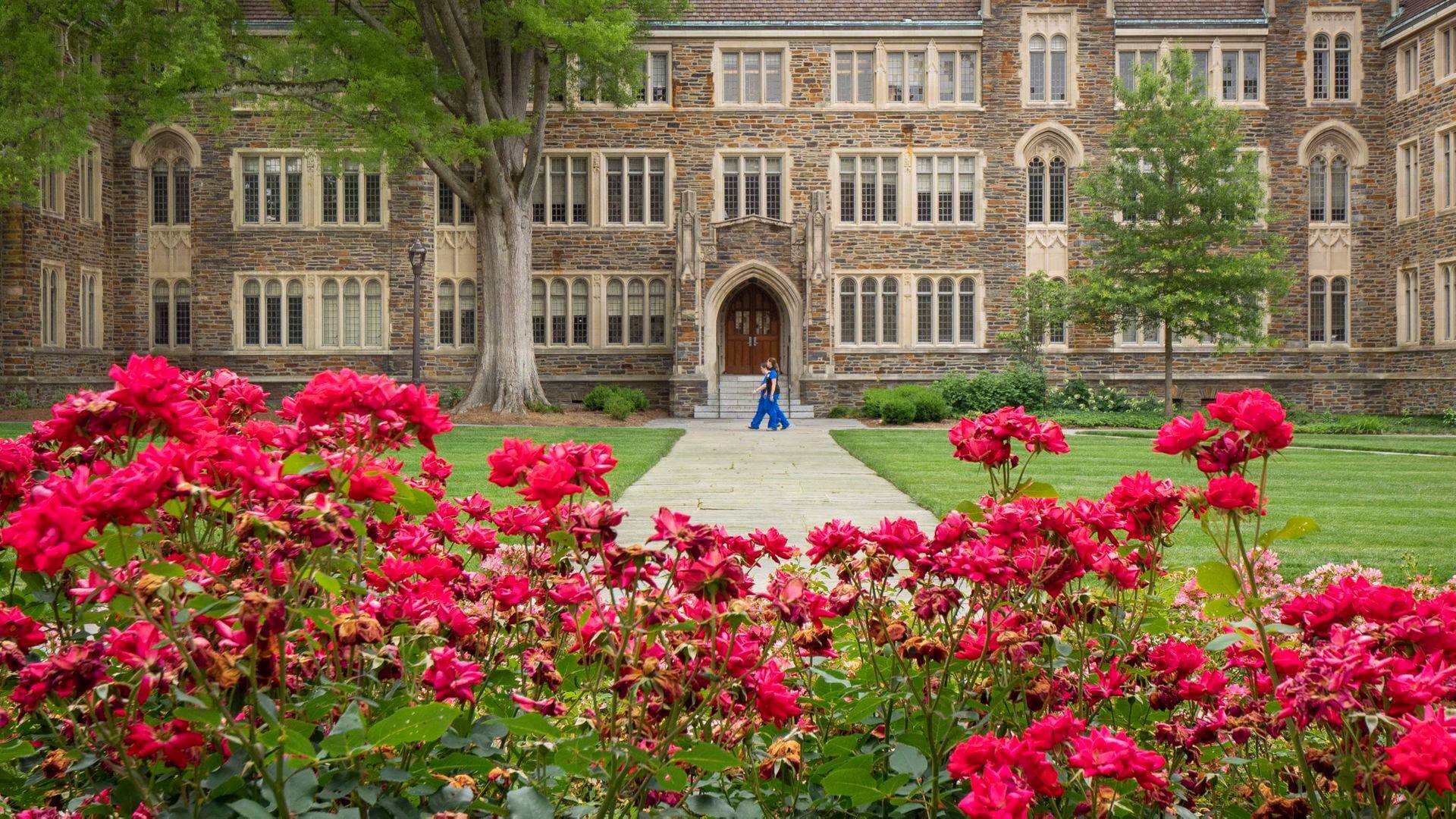 Duke University Youth Programs: SAT Summer Boost photo 1