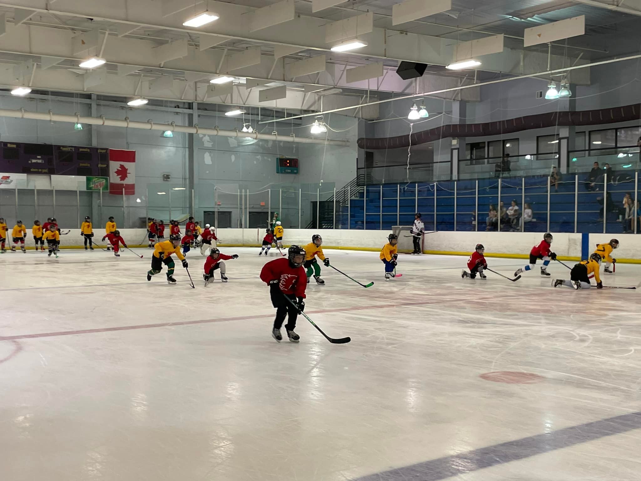 Ellenton Sports Beginner Hockey Camp photo 1