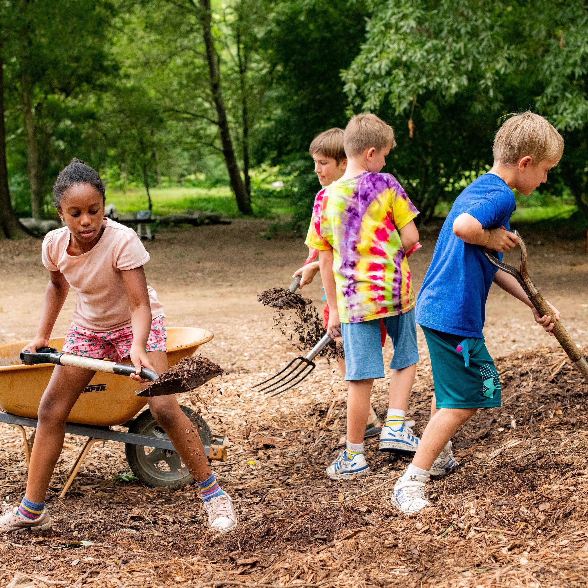 Emerson Waldorf School photo 1