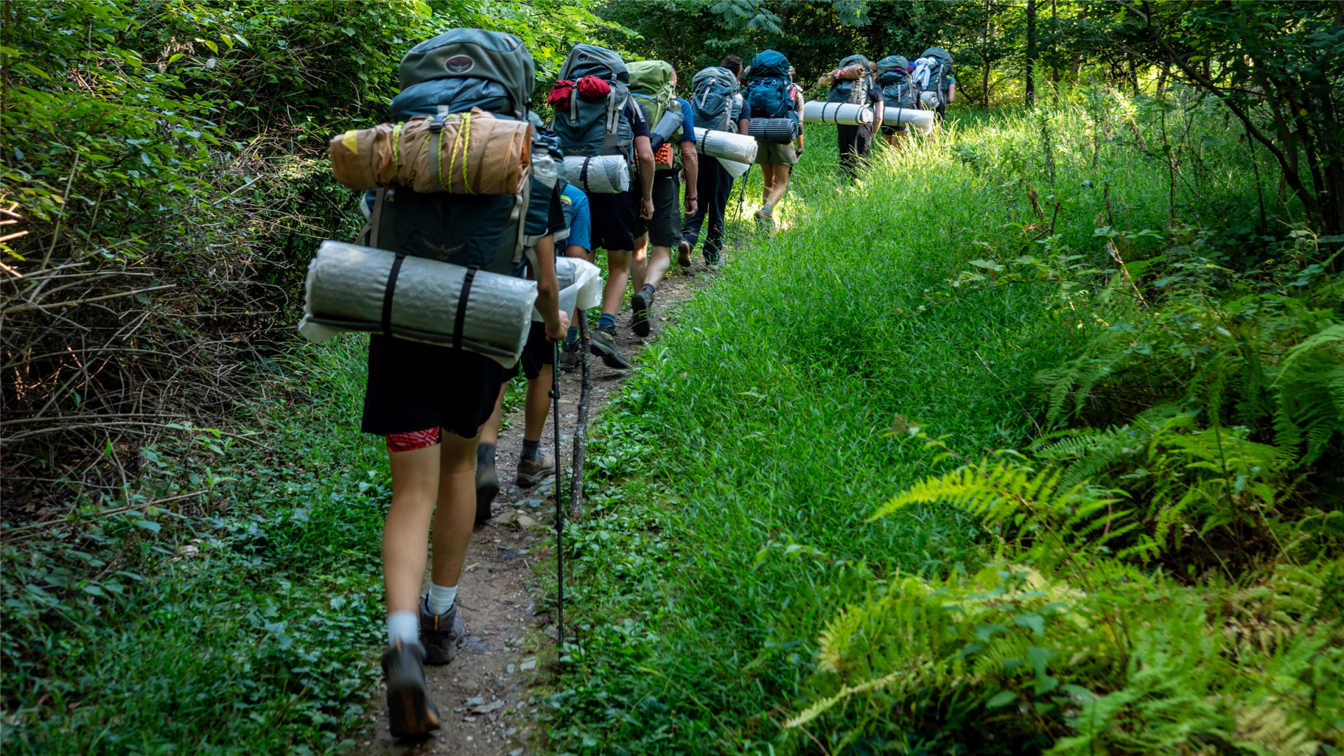 Episcopal High School Summer Camps