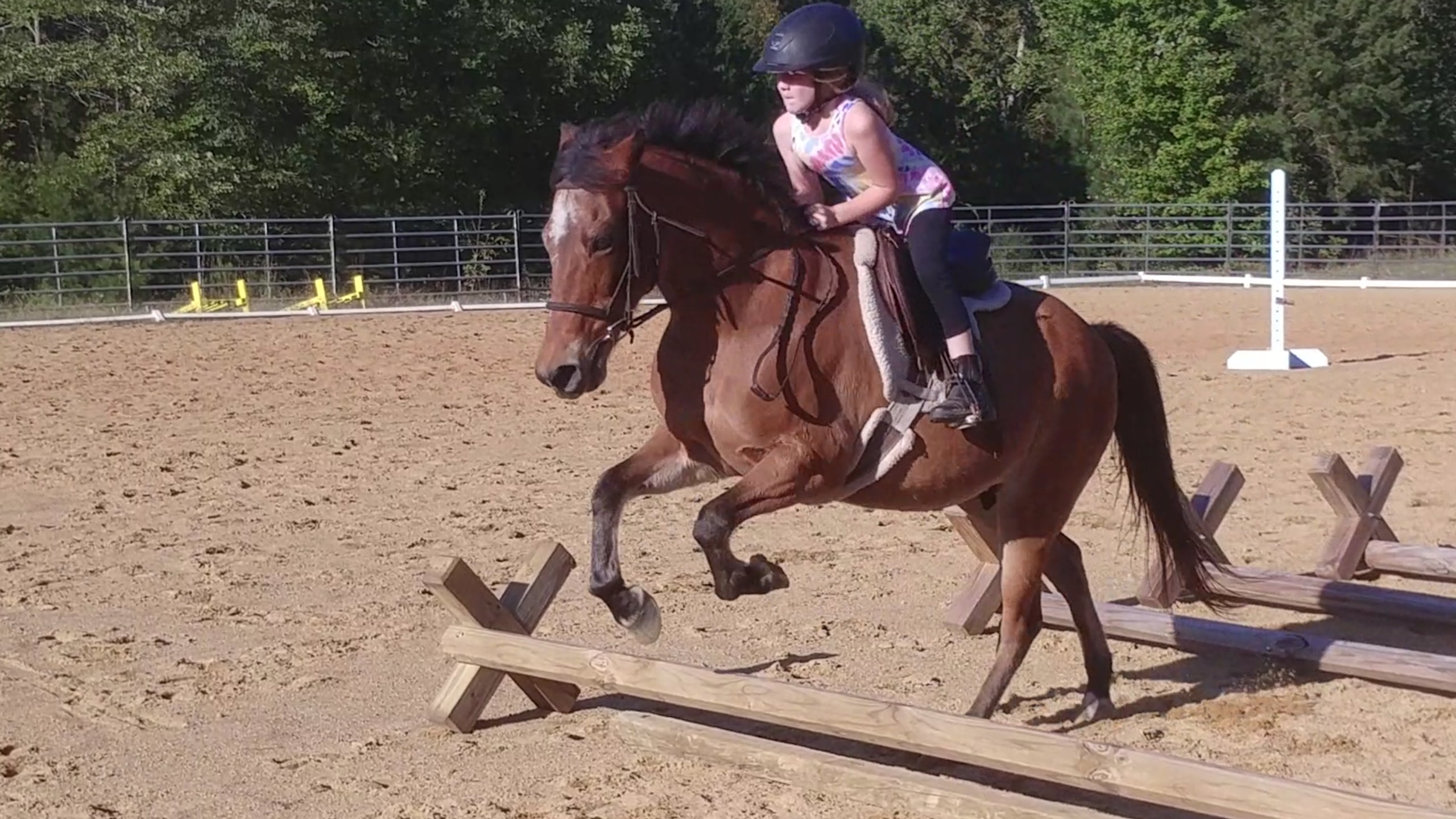 Fairhaven Farm Summer Camp