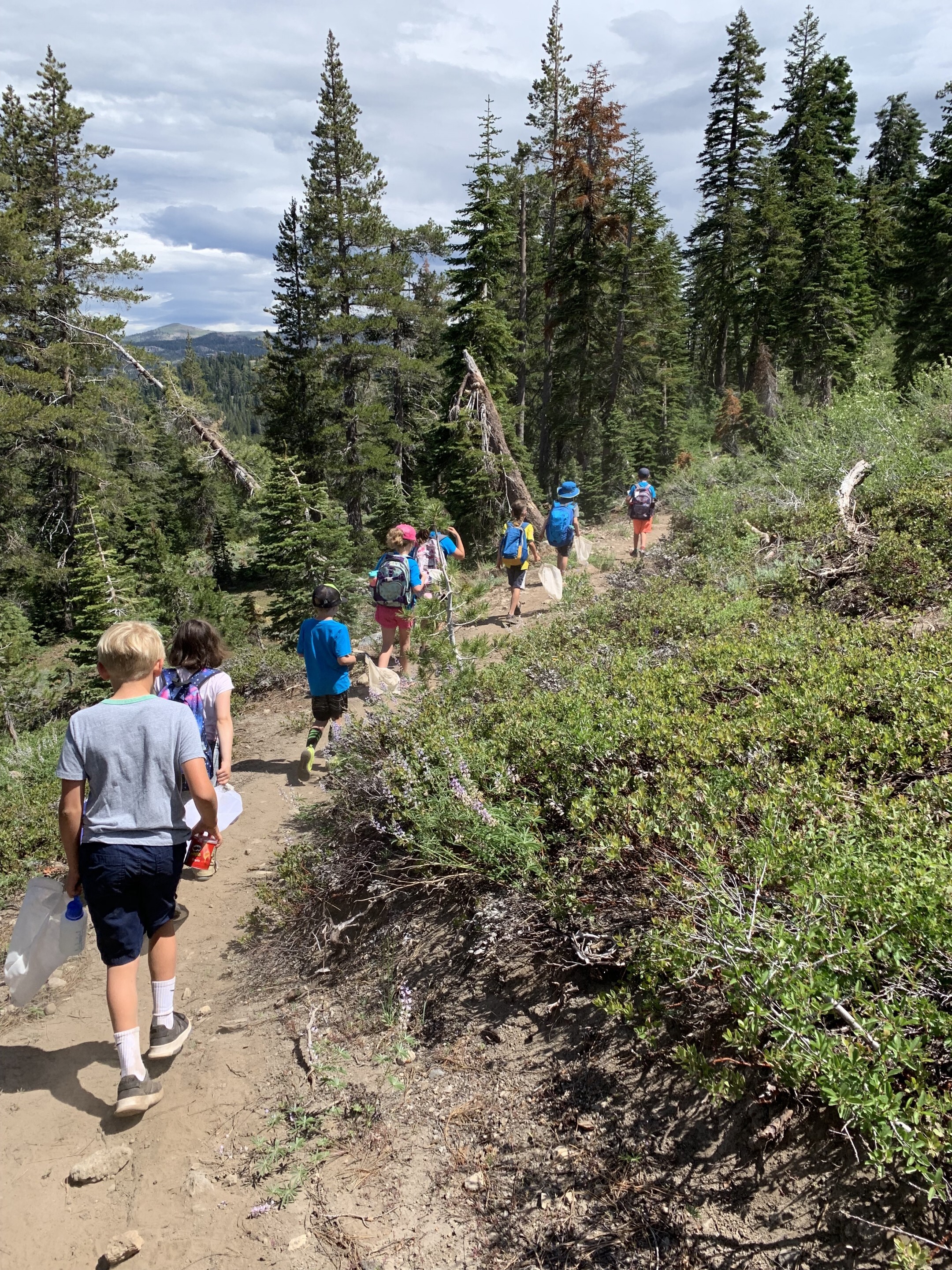 Field Of Dreams Adventure Camp photo 1
