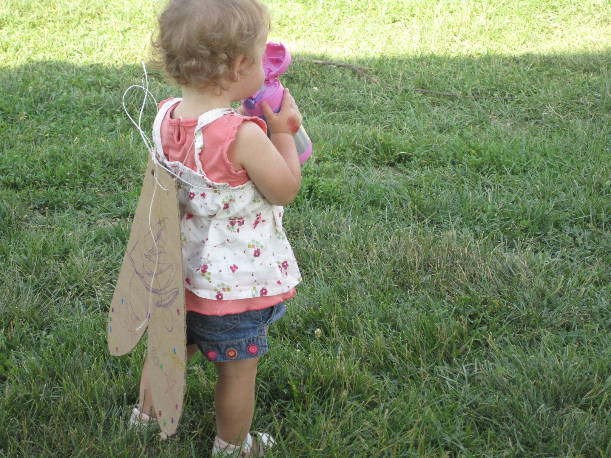 Firefly Summer Camp photo 1