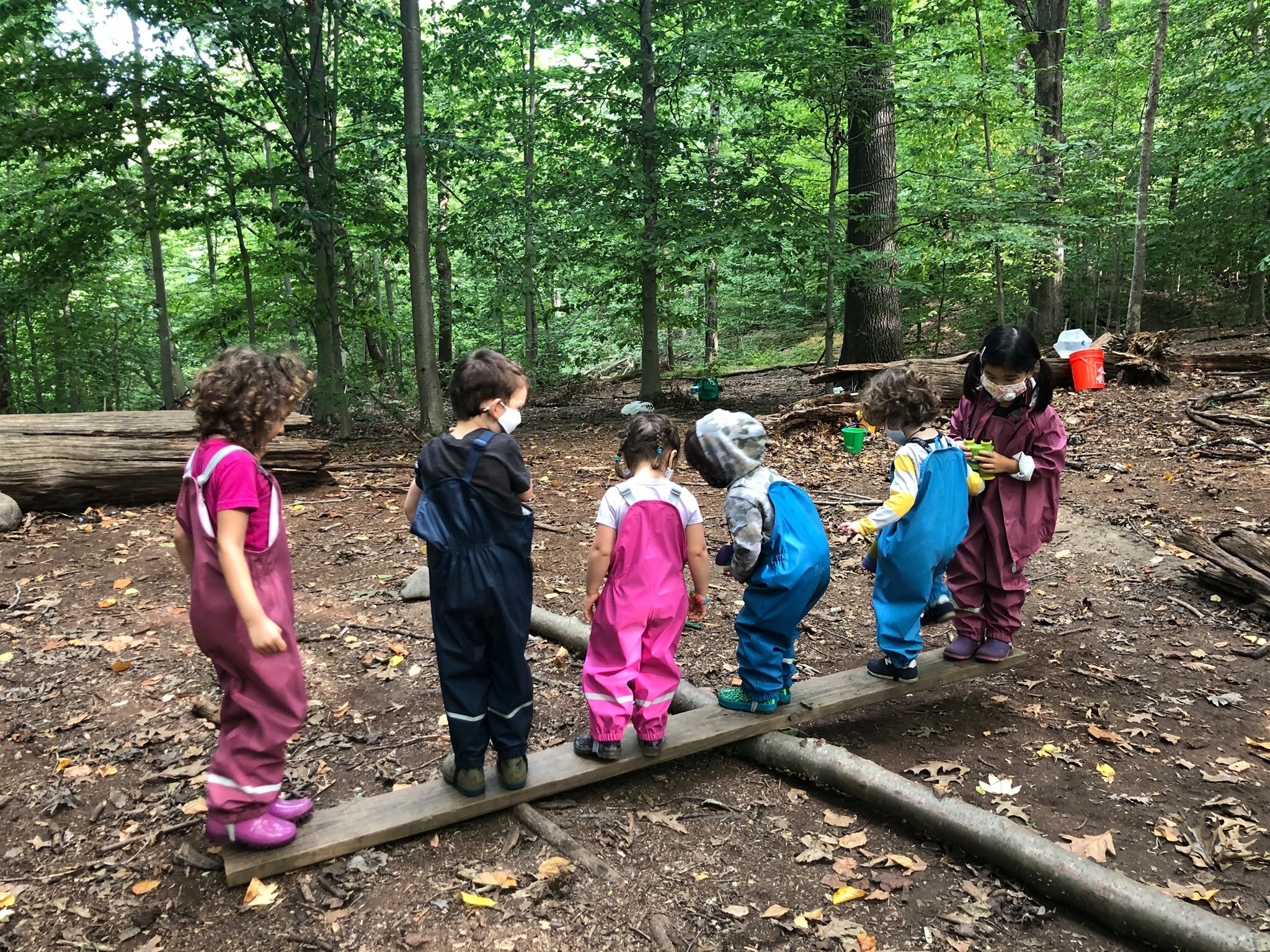 Stokes Forest Music Camp photo 1