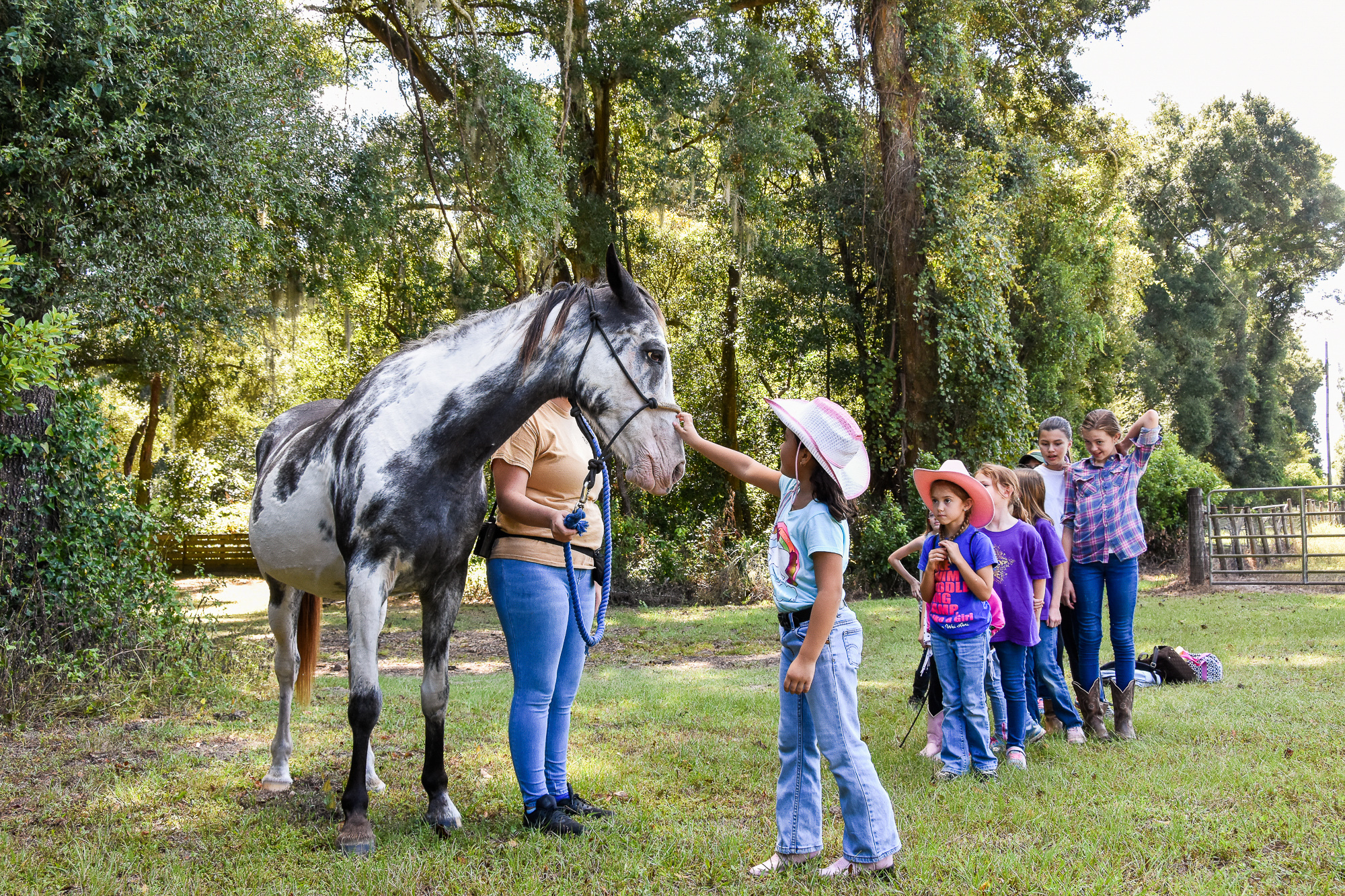 Girl Scouts Wai Lani Camp