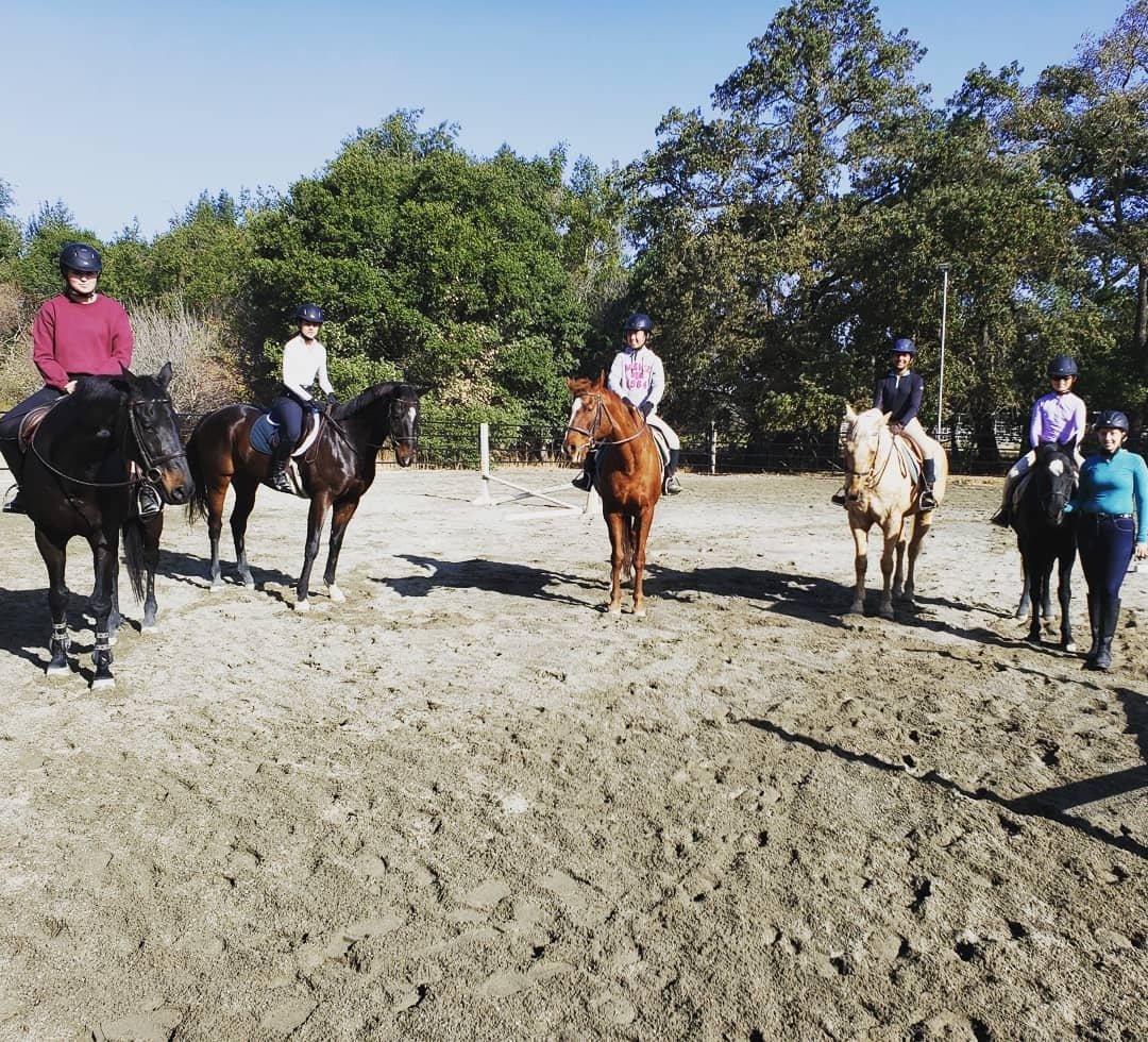 Spring Down Horsemanship Camps photo 1