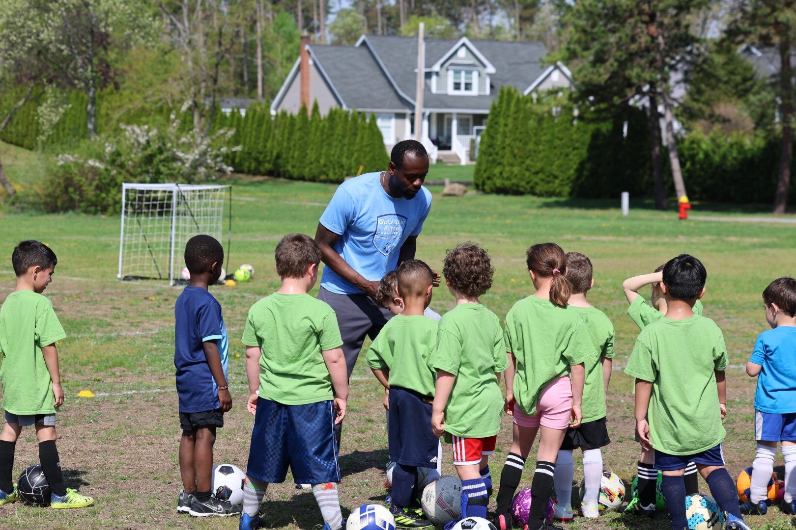 Gold Star Soccer photo 1