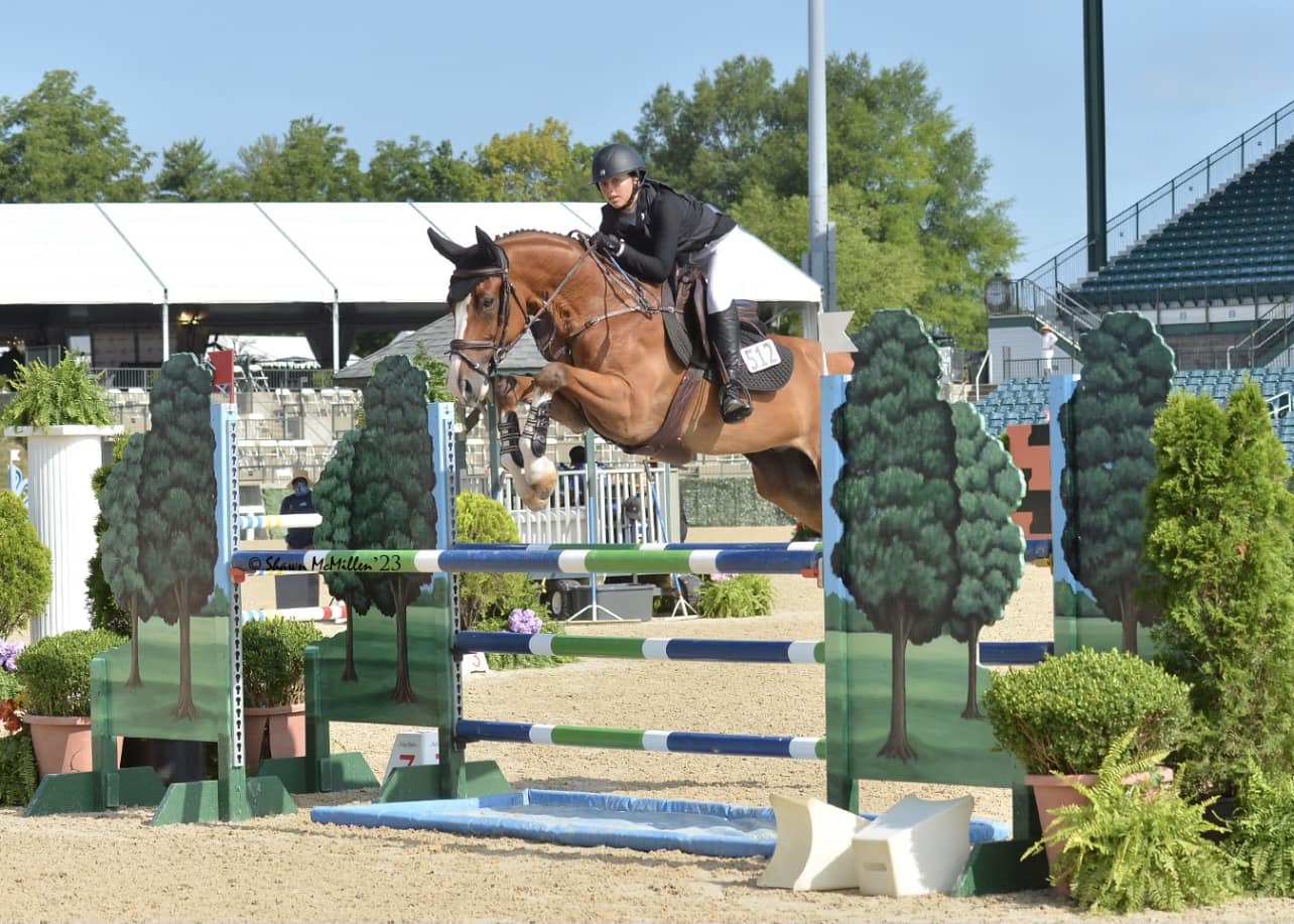 Gold Stirrup Riding Academy In Miami