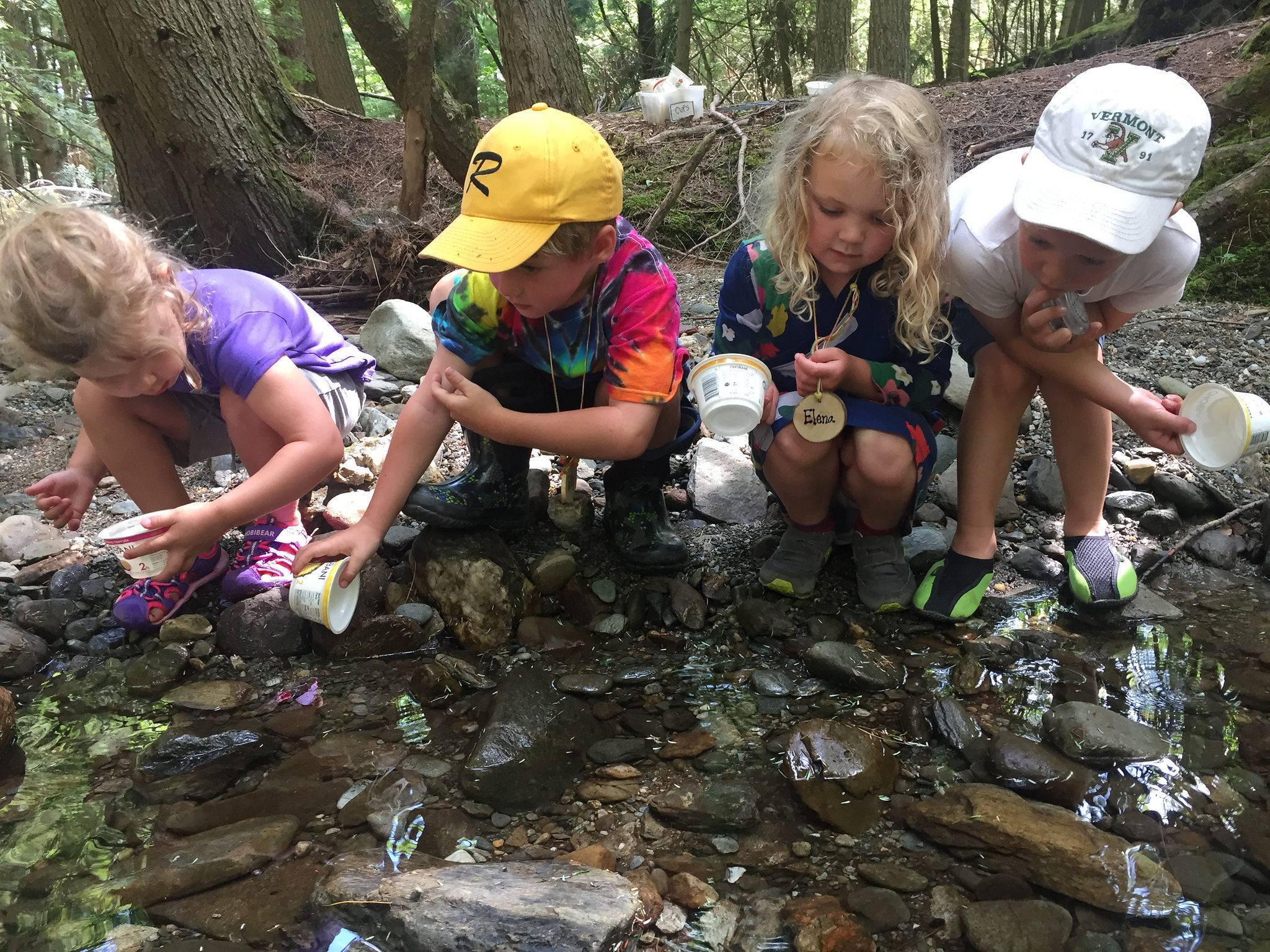Green Mountain Audubon Center Day Camp photo 1