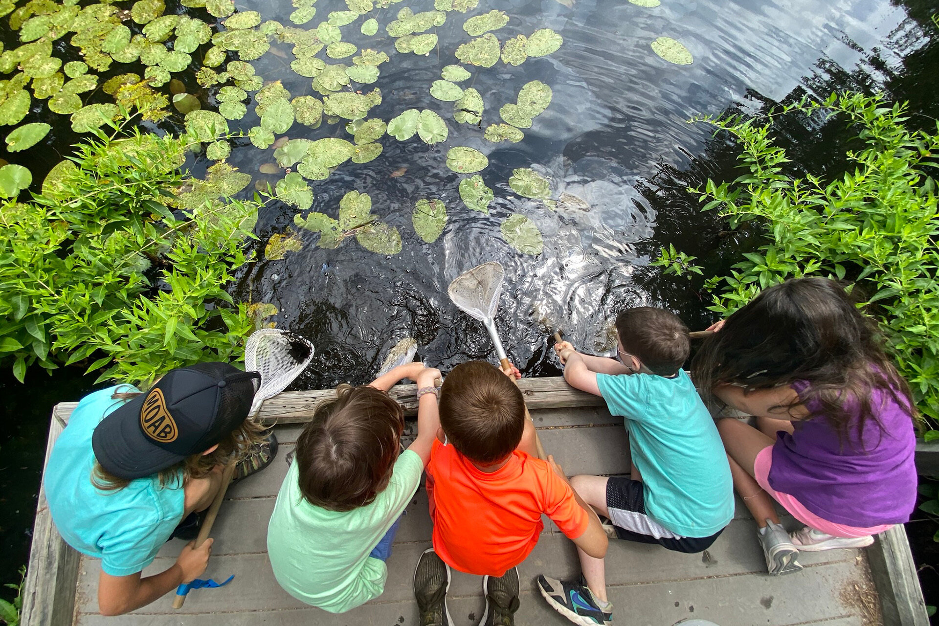 Habitat Summer Camps