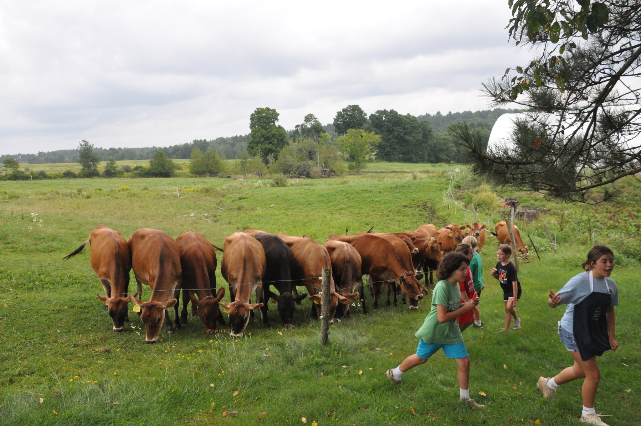 Hart-to-Hart Farm Day Camp