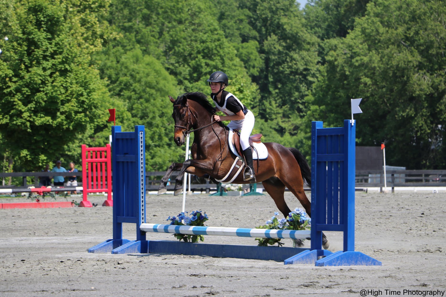 Hidden K Stables photo 1