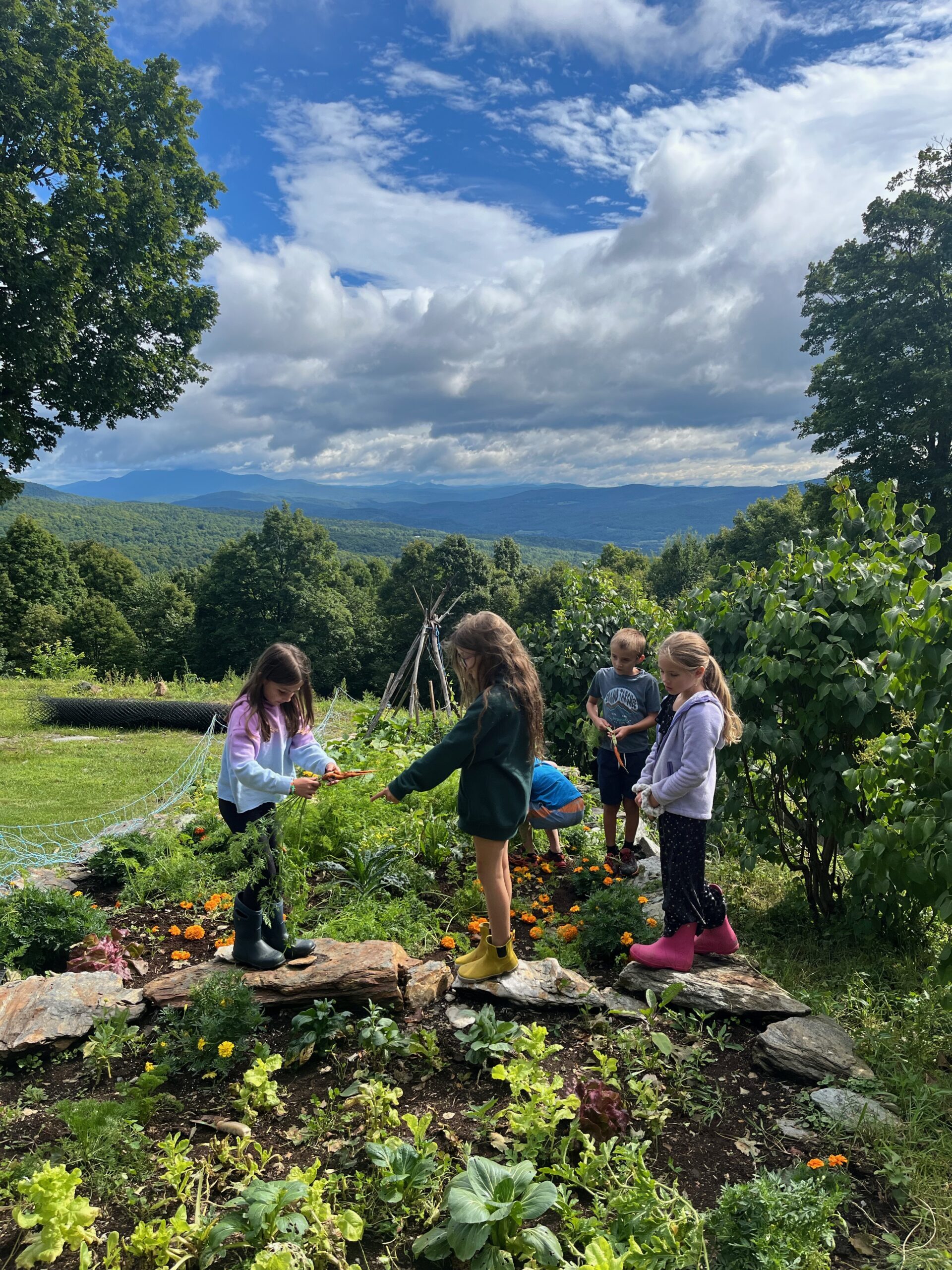 Lanakila Camp photo 1