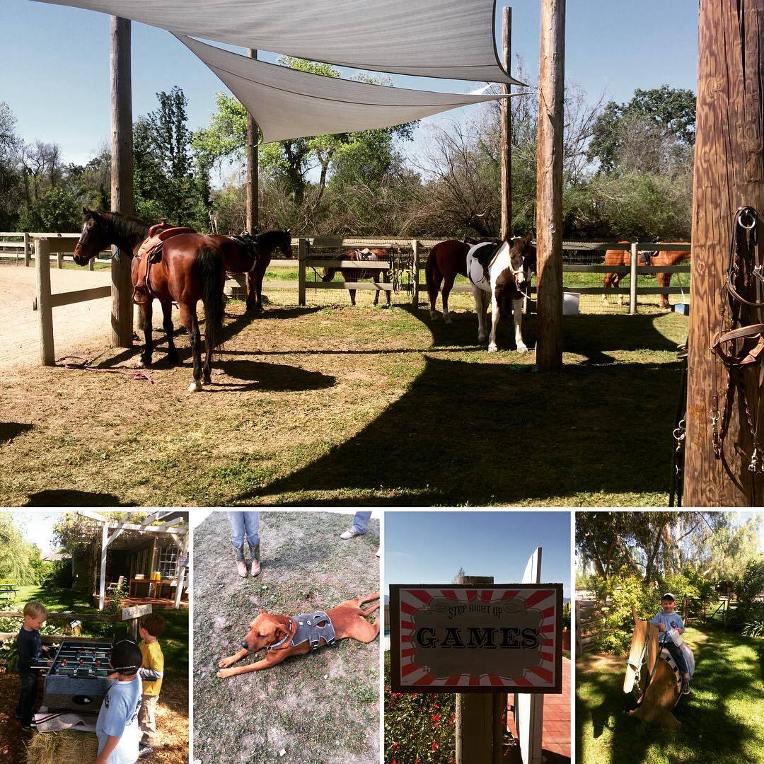 Horsemans Hangout Horsemanship Summer Day Camp photo 1