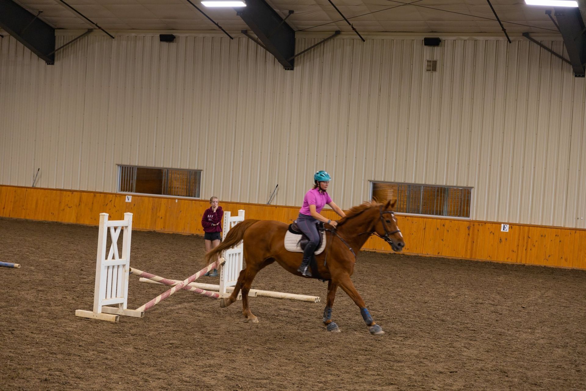 Houghton College Summer Equestrian Camp
