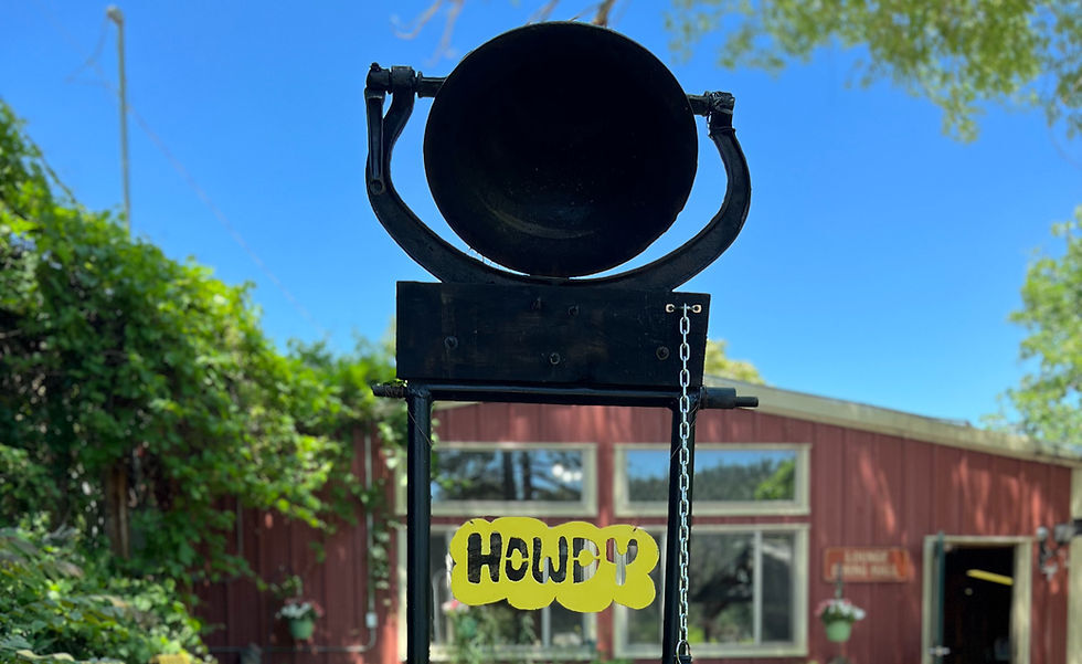 Hummingbird Music Camp photo 1