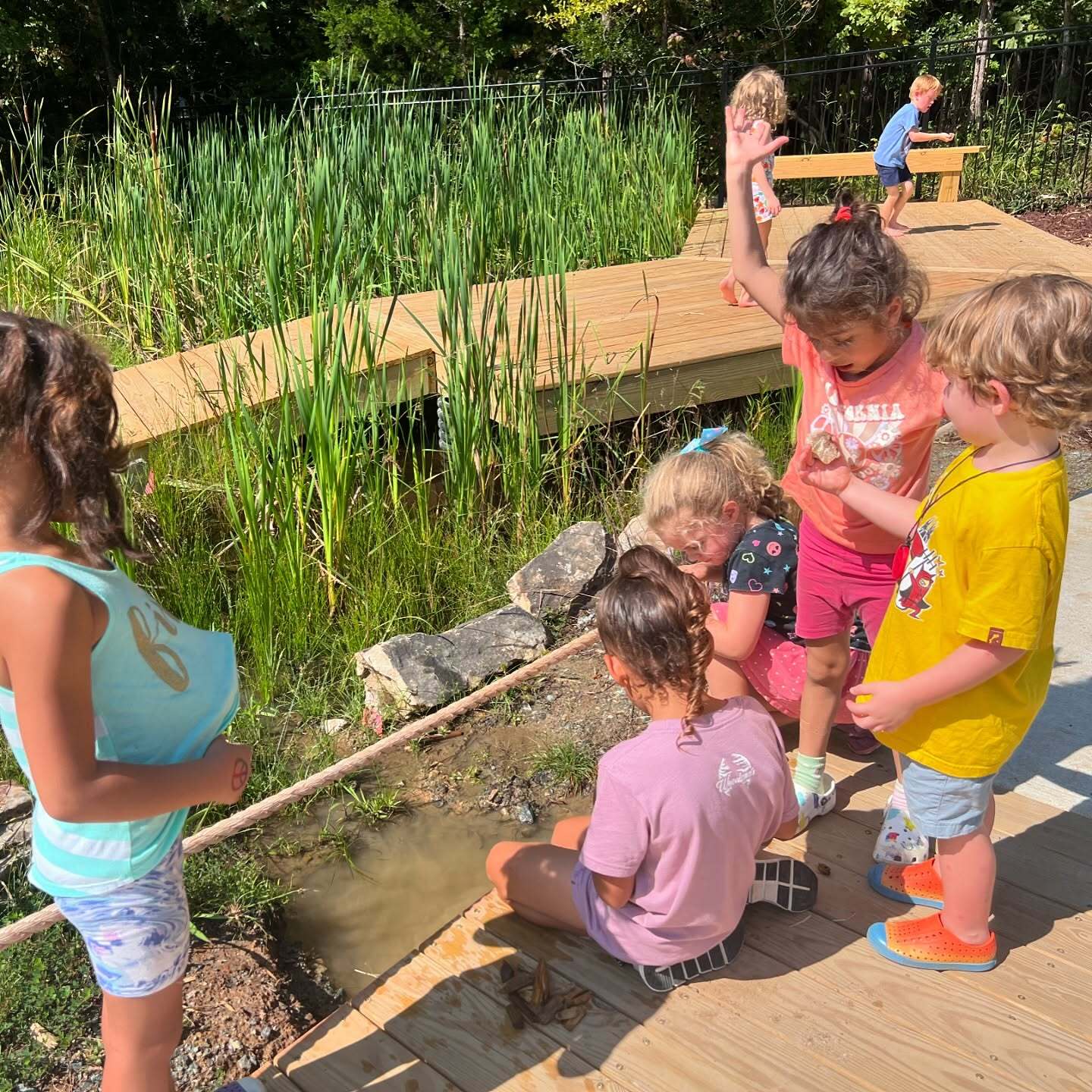 IMS French or Spanish Day Camp photo 1