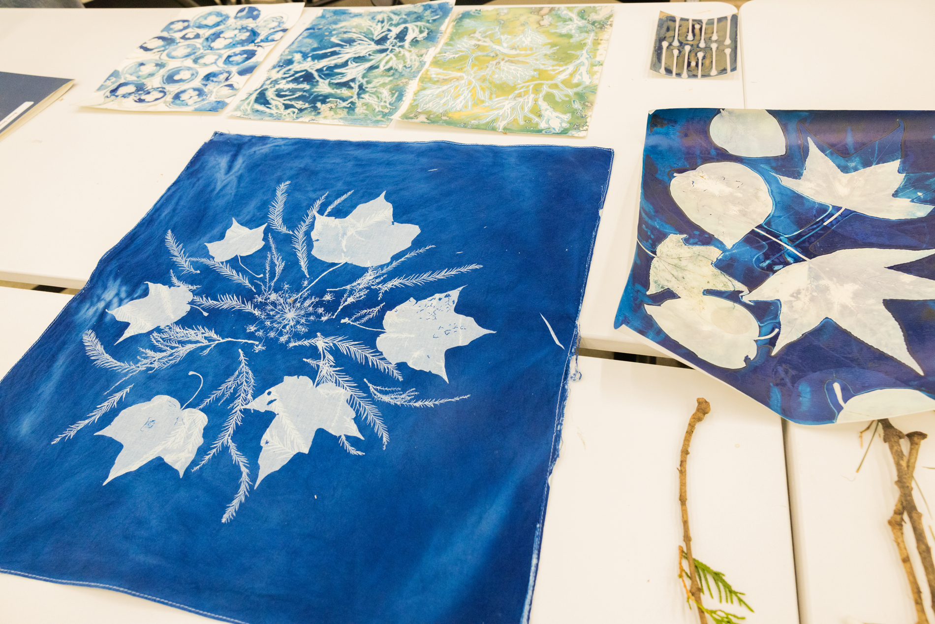 YMCA Camp Carson photo 1