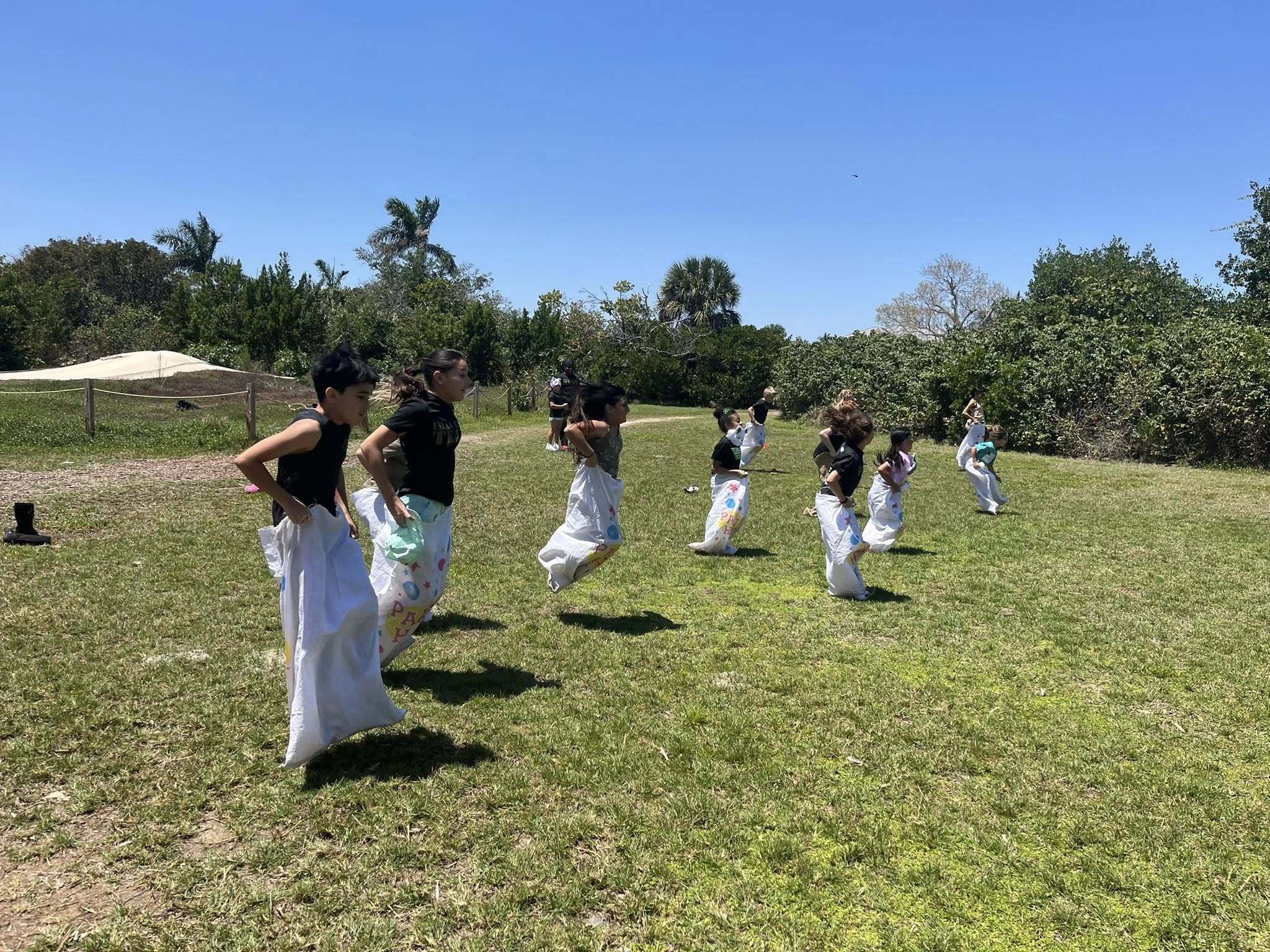 International Martial Arts Summer Camp photo 1