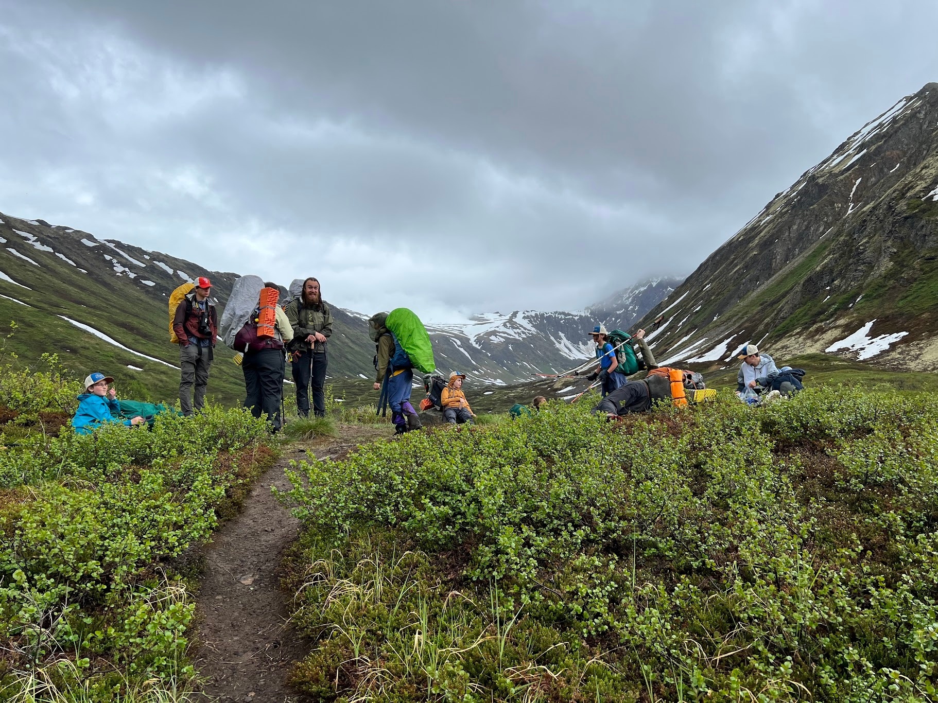 Into the Woods Alaska photo 1
