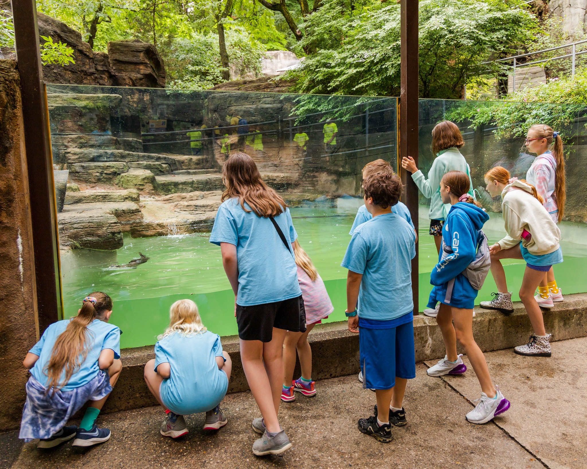 Detroit Zoo Safari Camp photo 1