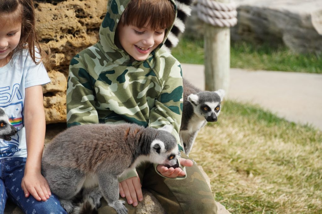 Junior Zookeeper Summer Camp