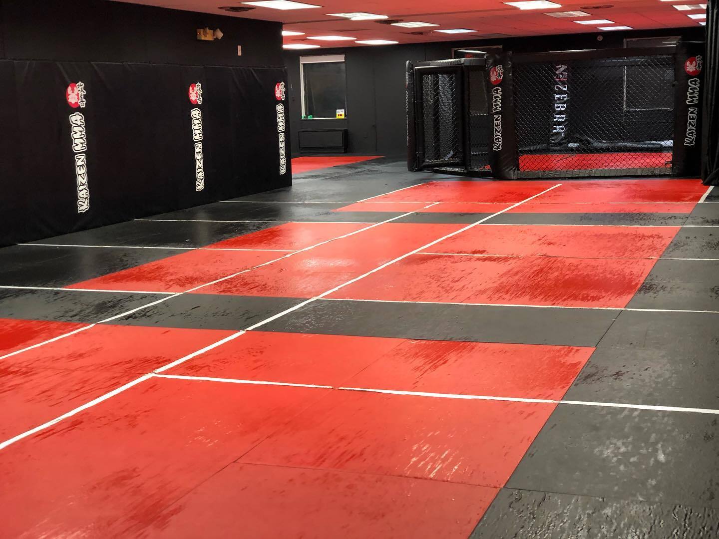 KAIZEN MMA Summer Camp Fairfax photo 1